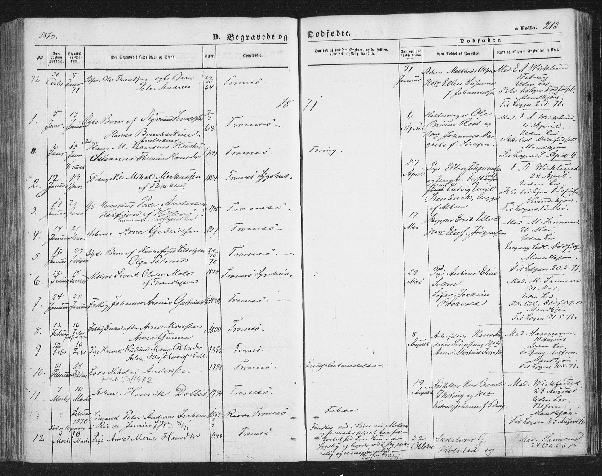 Tromsø sokneprestkontor/stiftsprosti/domprosti, SATØ/S-1343/G/Ga/L0012kirke: Parish register (official) no. 12, 1865-1871, p. 213