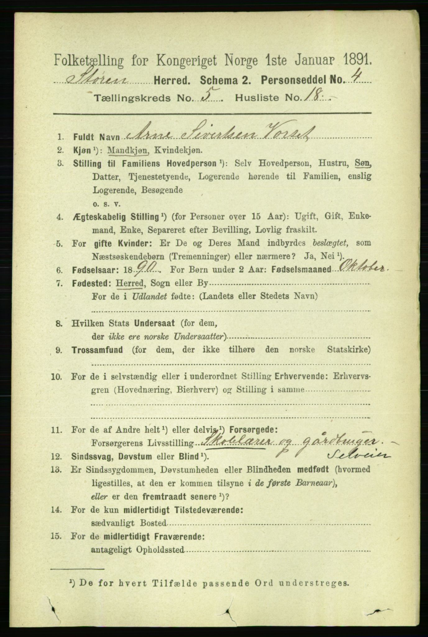 RA, 1891 census for 1648 Støren, 1891, p. 2041