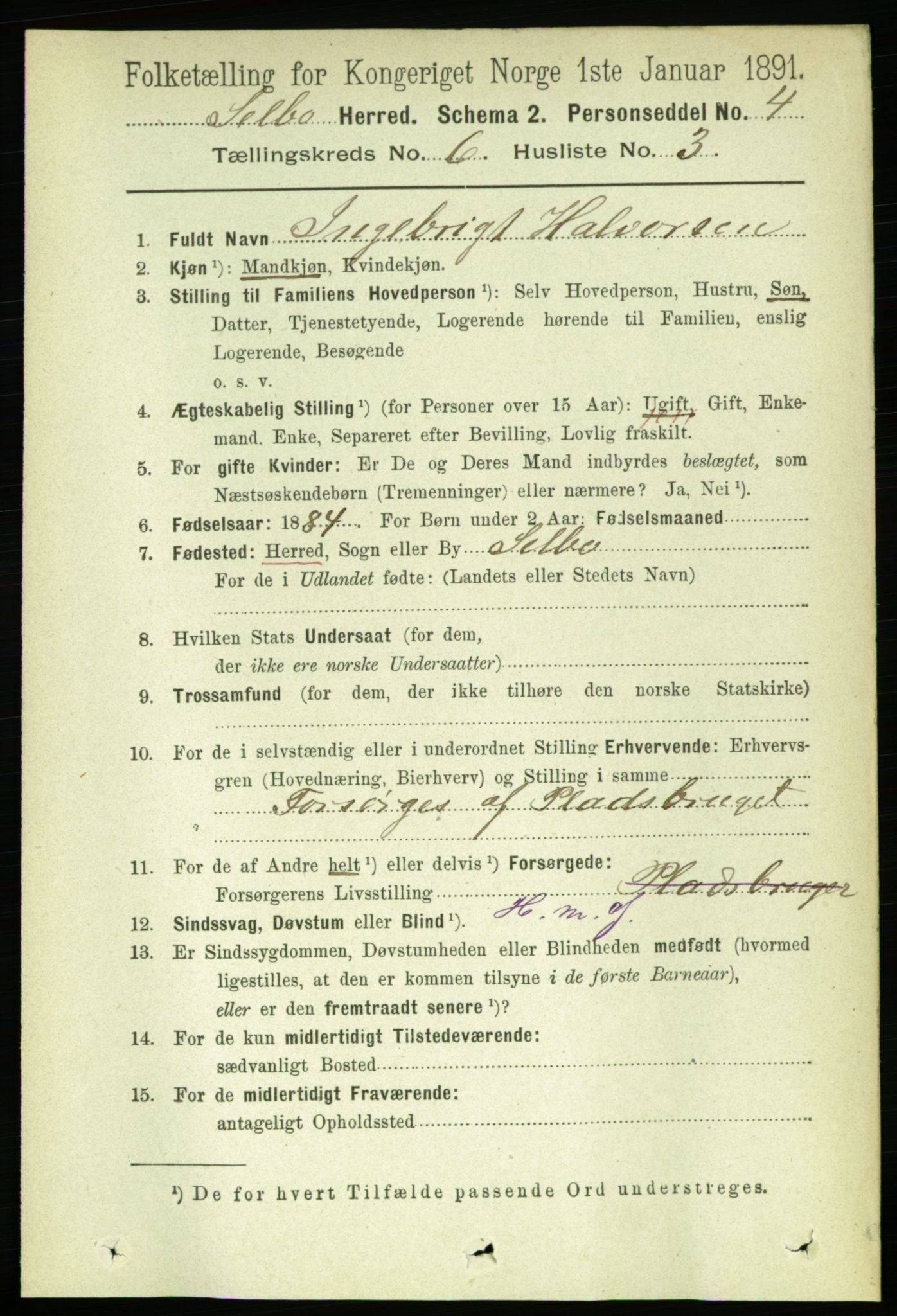 RA, 1891 census for 1664 Selbu, 1891, p. 2145