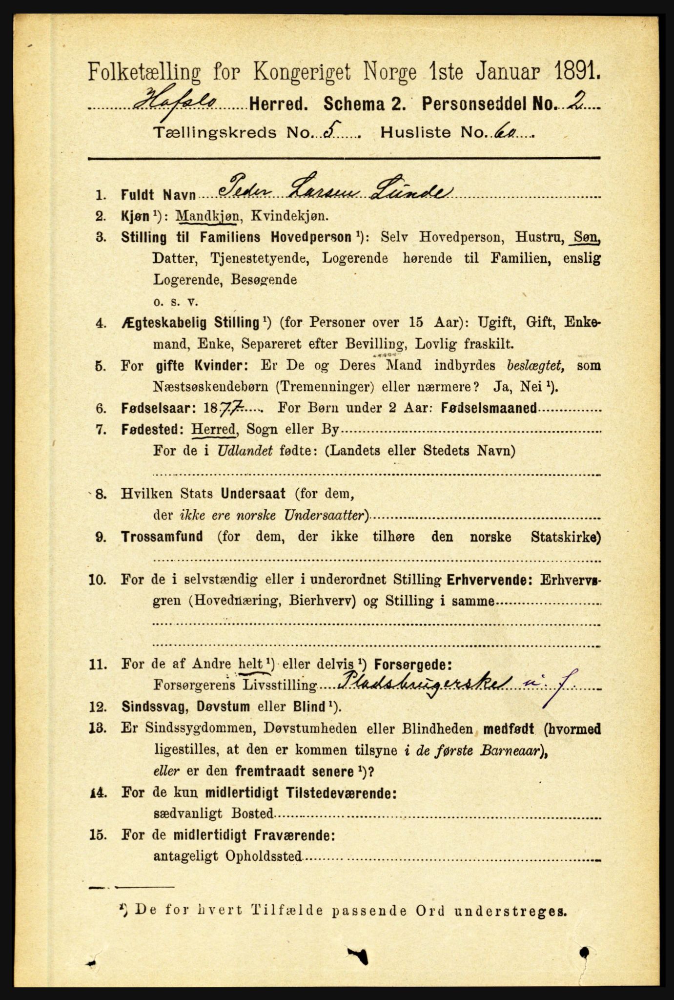 RA, 1891 census for 1425 Hafslo, 1891, p. 2266