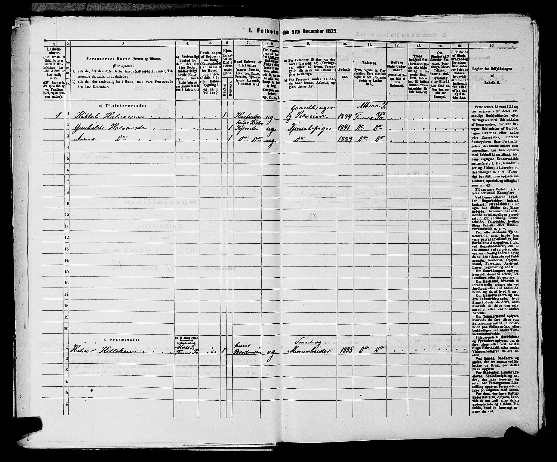 SAKO, 1875 census for 0826P Tinn, 1875, p. 125