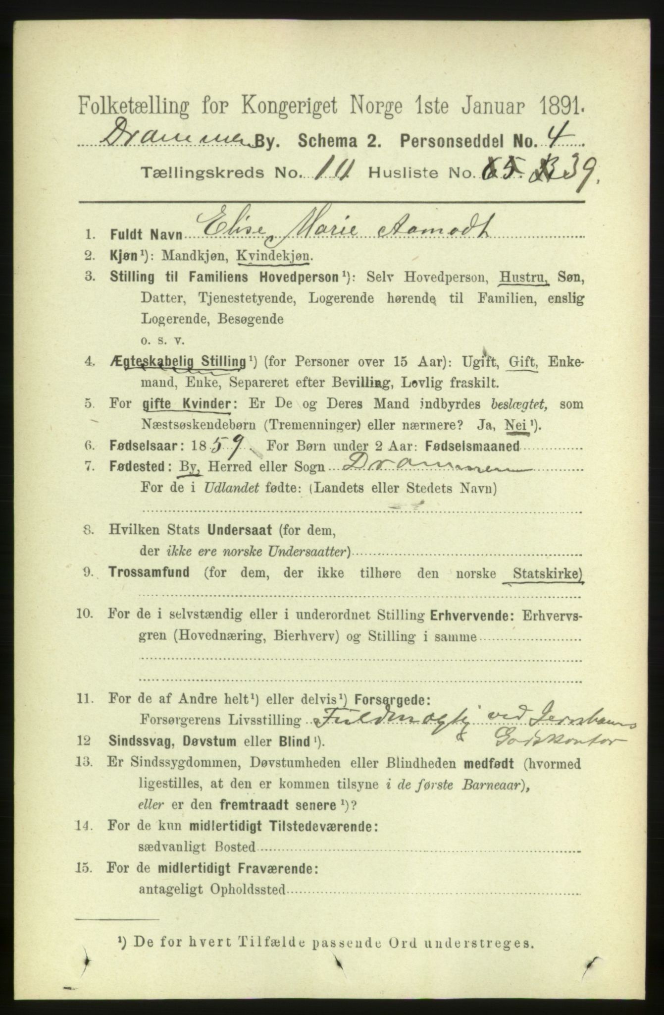 RA, 1891 census for 0602 Drammen, 1891, p. 8316