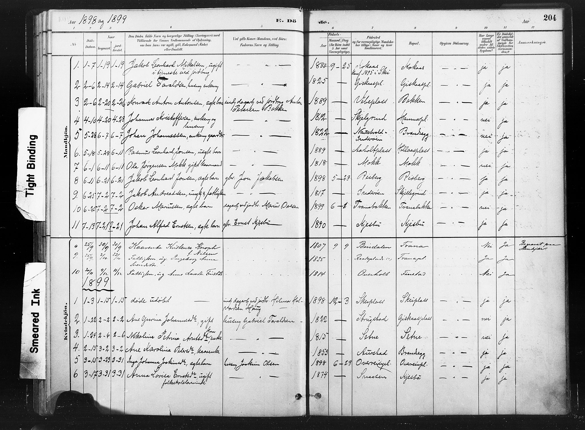 Ministerialprotokoller, klokkerbøker og fødselsregistre - Nord-Trøndelag, SAT/A-1458/736/L0361: Parish register (official) no. 736A01, 1884-1906, p. 204
