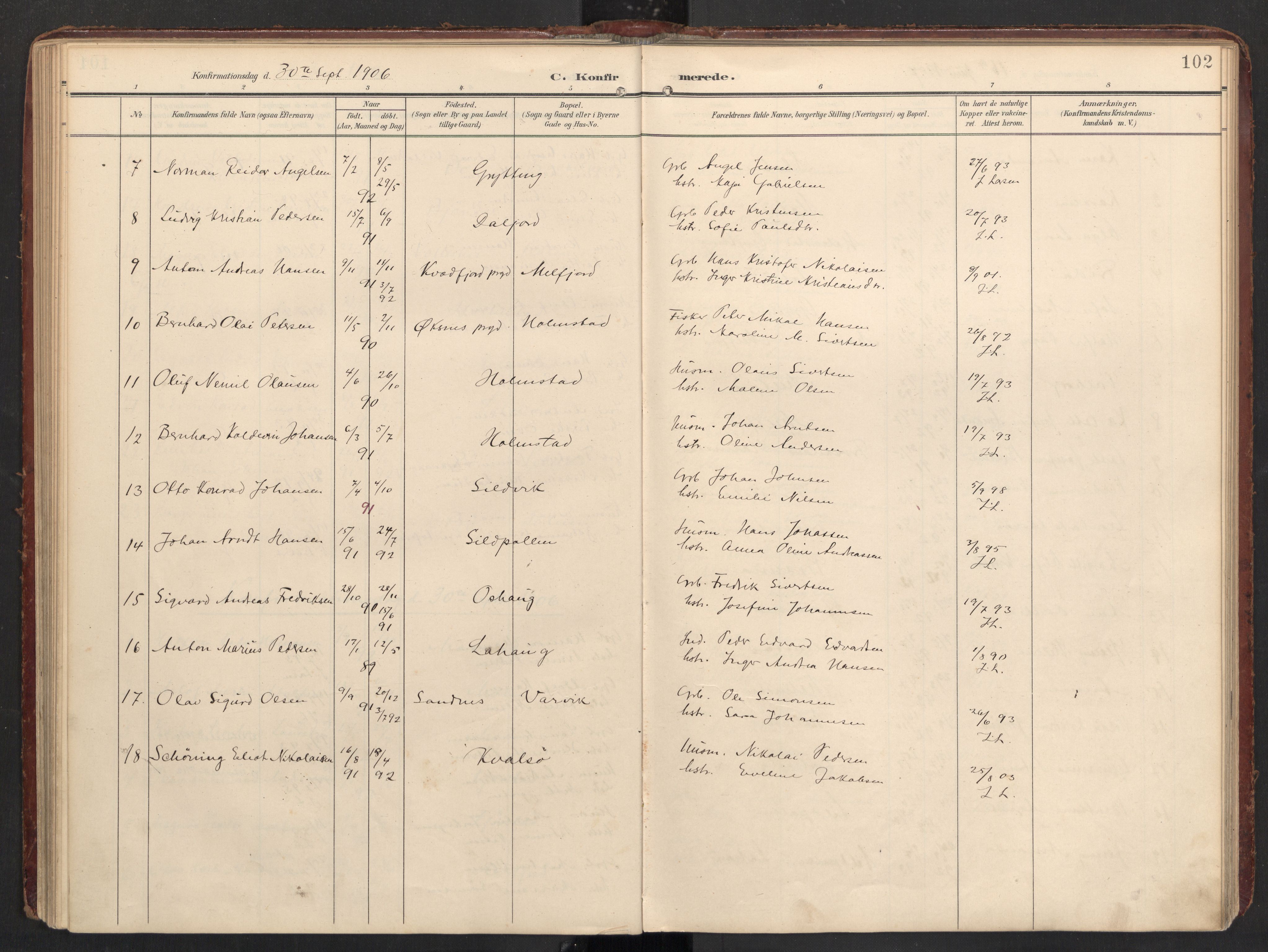 Ministerialprotokoller, klokkerbøker og fødselsregistre - Nordland, AV/SAT-A-1459/890/L1287: Parish register (official) no. 890A02, 1903-1915, p. 102