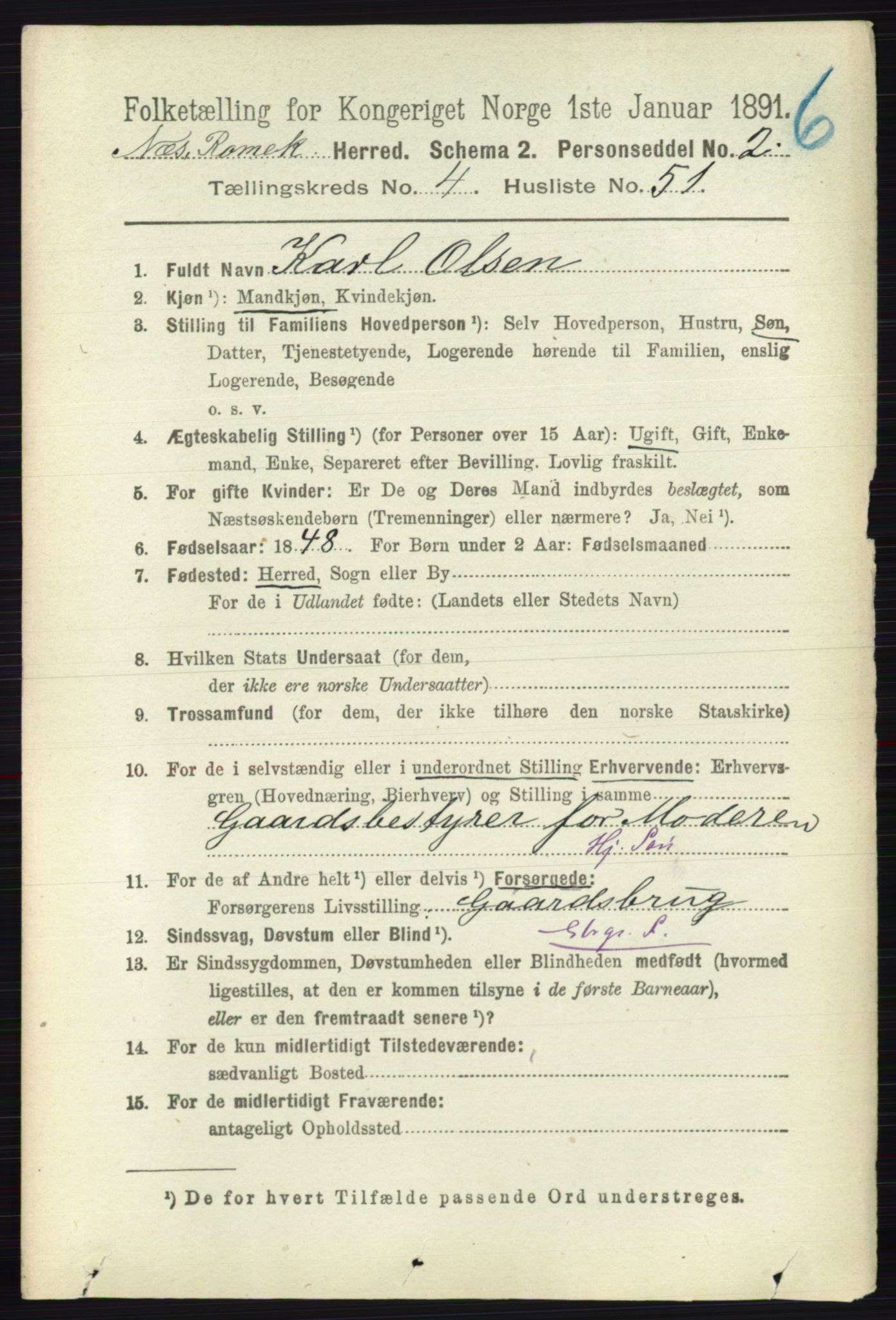 RA, 1891 census for 0236 Nes, 1891, p. 2547