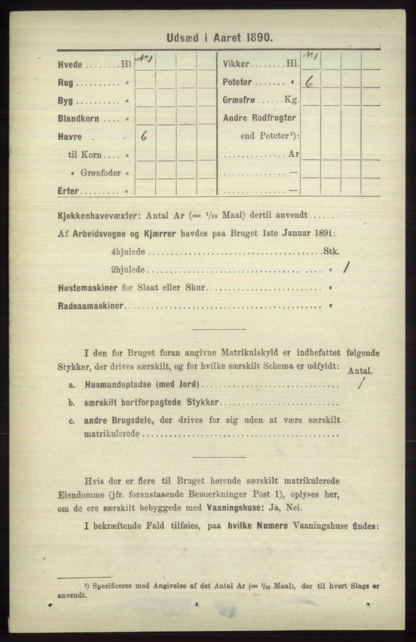 RA, 1891 census for 1251 Bruvik, 1891, p. 4802