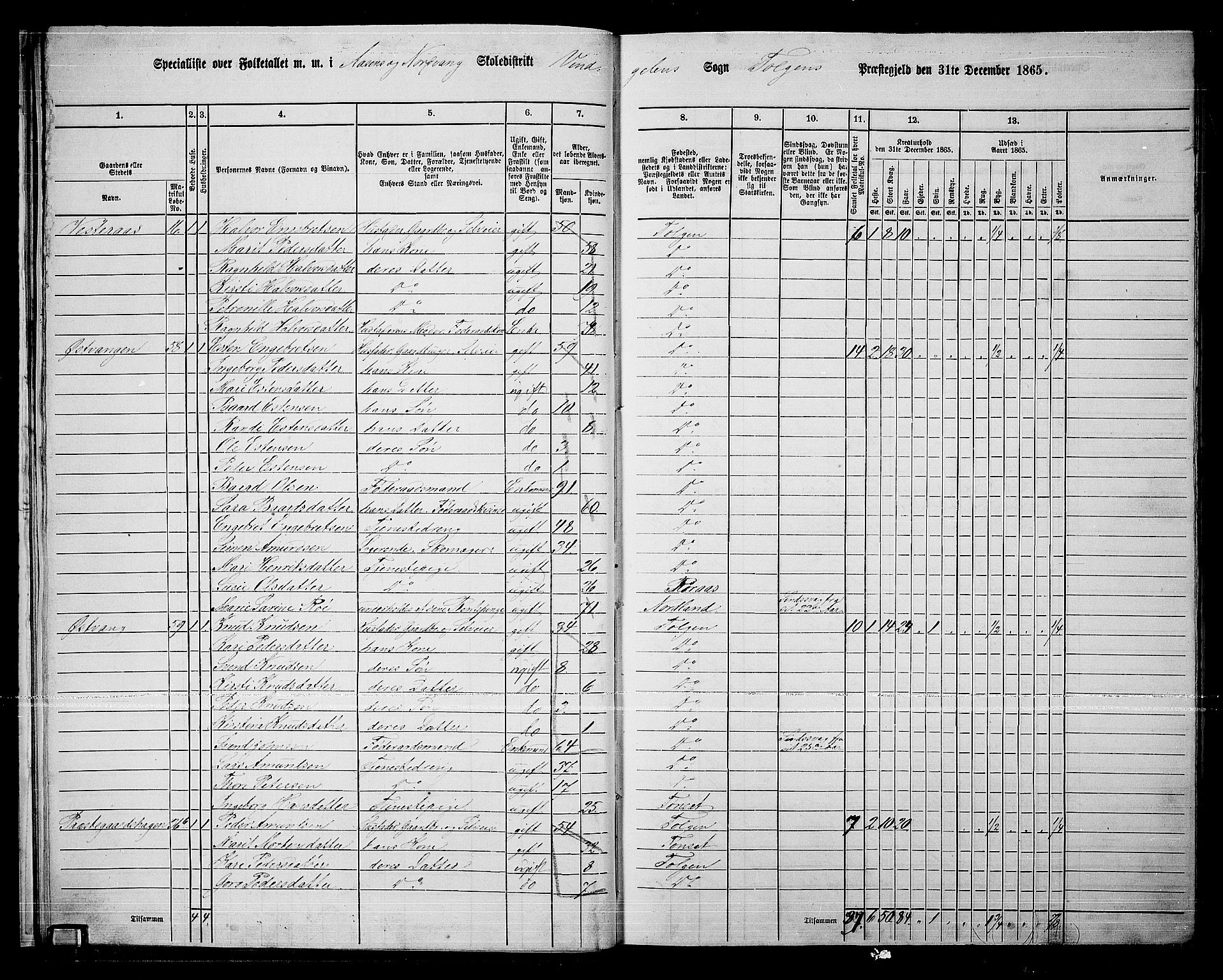RA, 1865 census for Tolga, 1865, p. 20
