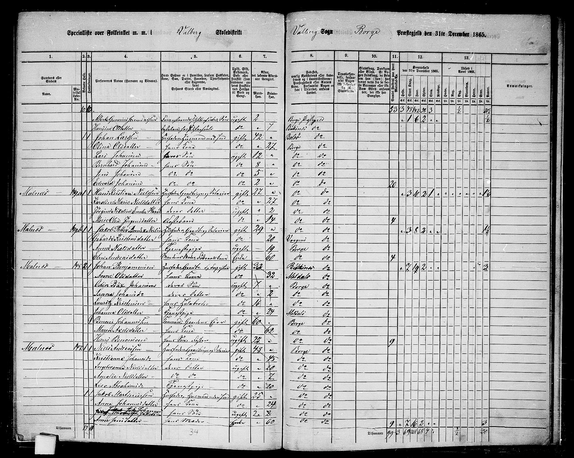 RA, 1865 census for Borge, 1865, p. 84