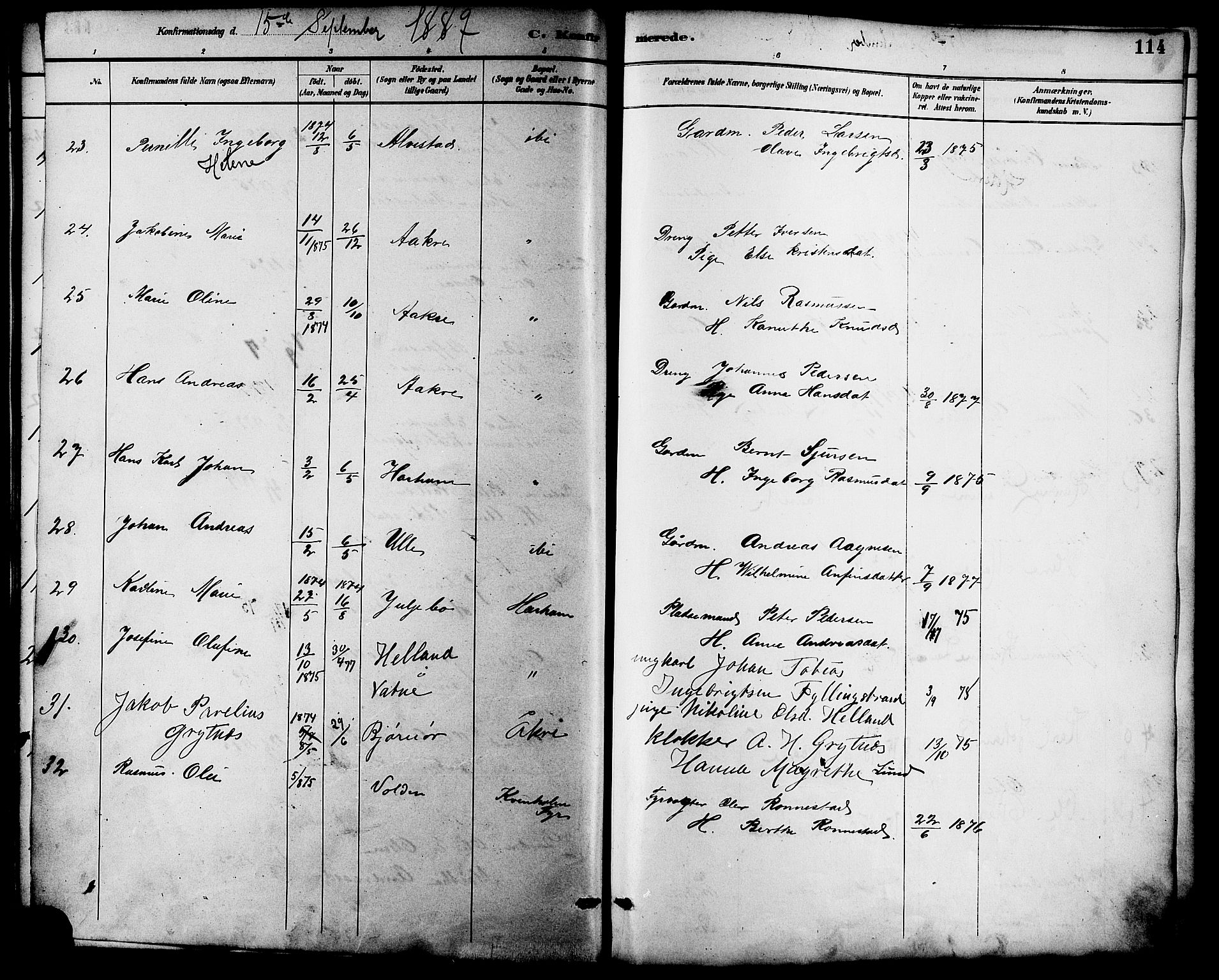 Ministerialprotokoller, klokkerbøker og fødselsregistre - Møre og Romsdal, SAT/A-1454/536/L0501: Parish register (official) no. 536A10, 1884-1896, p. 114