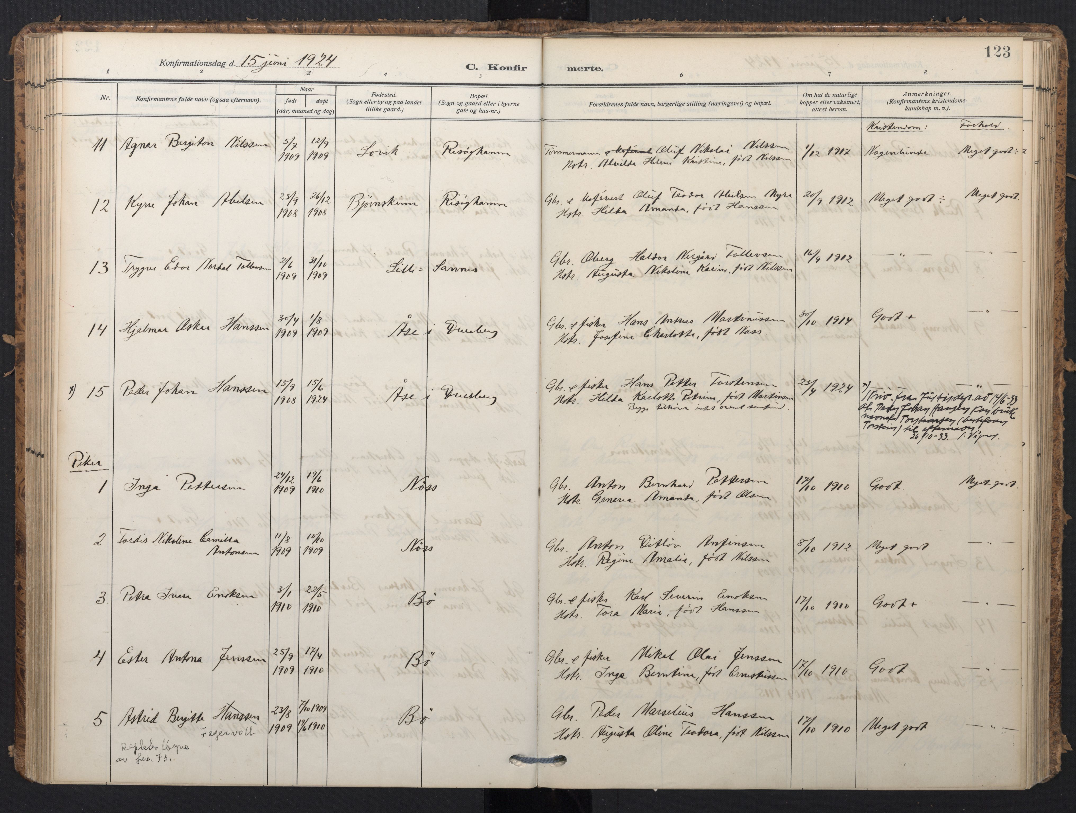 Ministerialprotokoller, klokkerbøker og fødselsregistre - Nordland, AV/SAT-A-1459/898/L1423: Parish register (official) no. 898A03, 1909-1928, p. 123