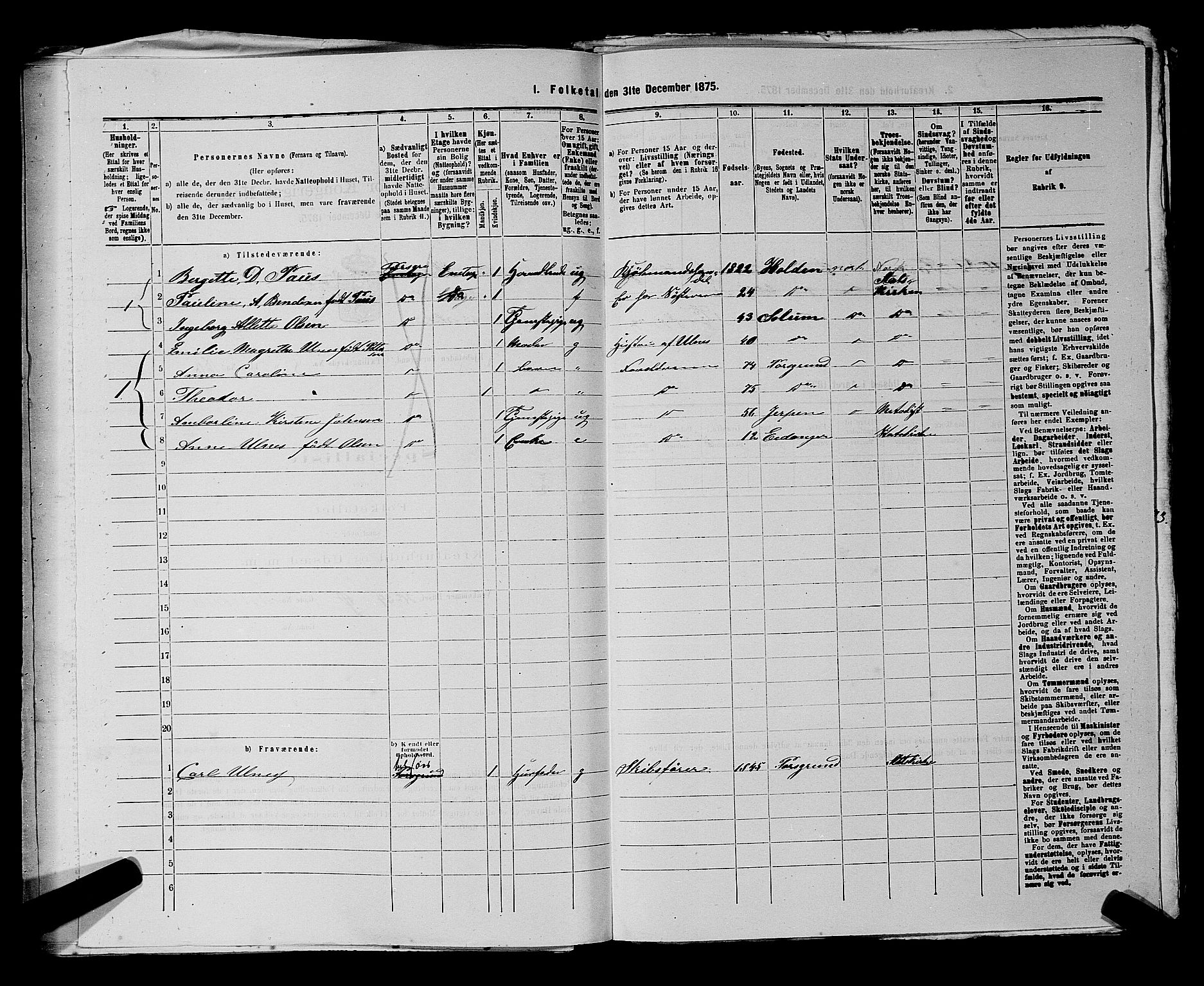 SAKO, 1875 census for 0805P Porsgrunn, 1875, p. 380