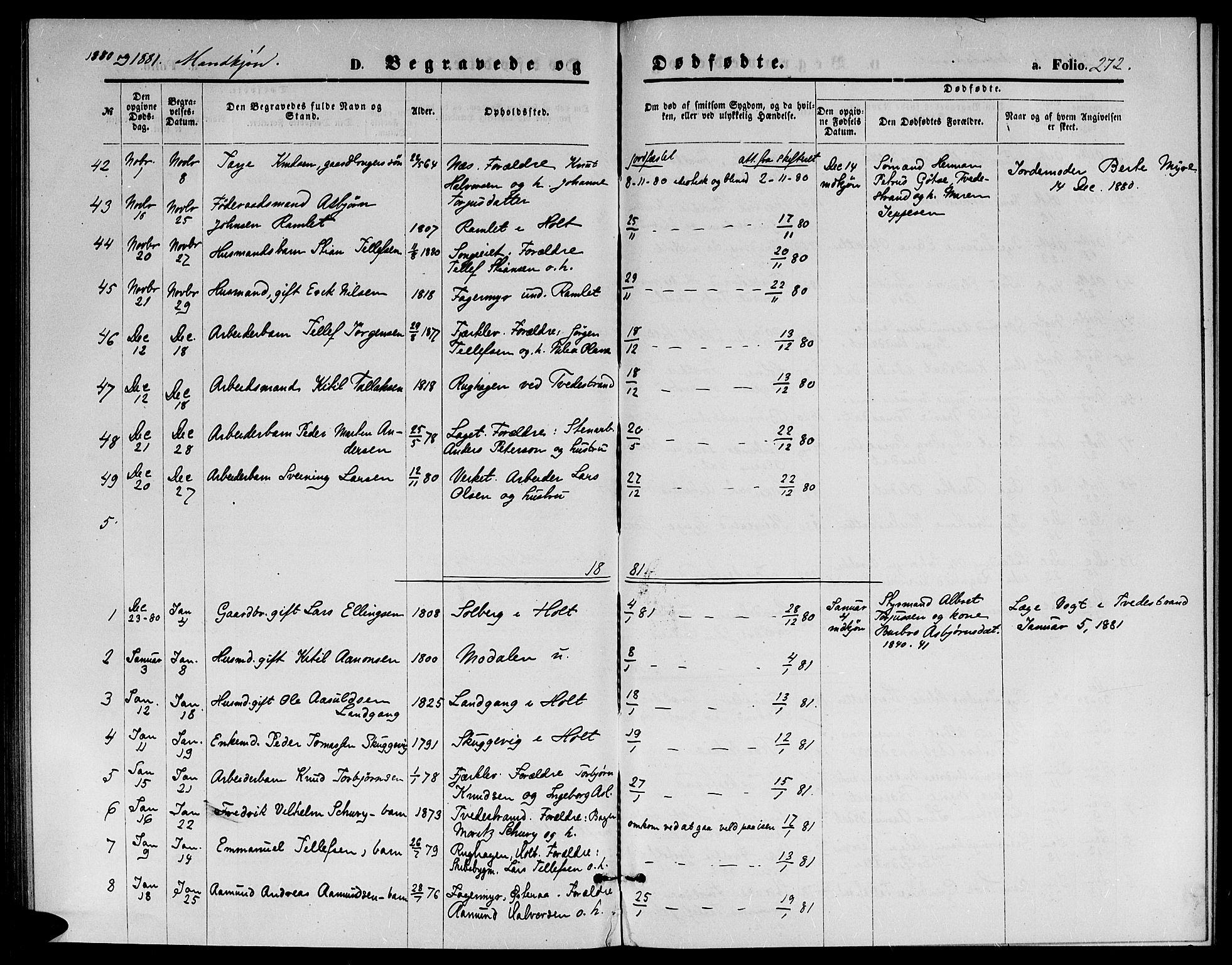 Holt sokneprestkontor, AV/SAK-1111-0021/F/Fb/L0009: Parish register (copy) no. B 9, 1871-1883, p. 272