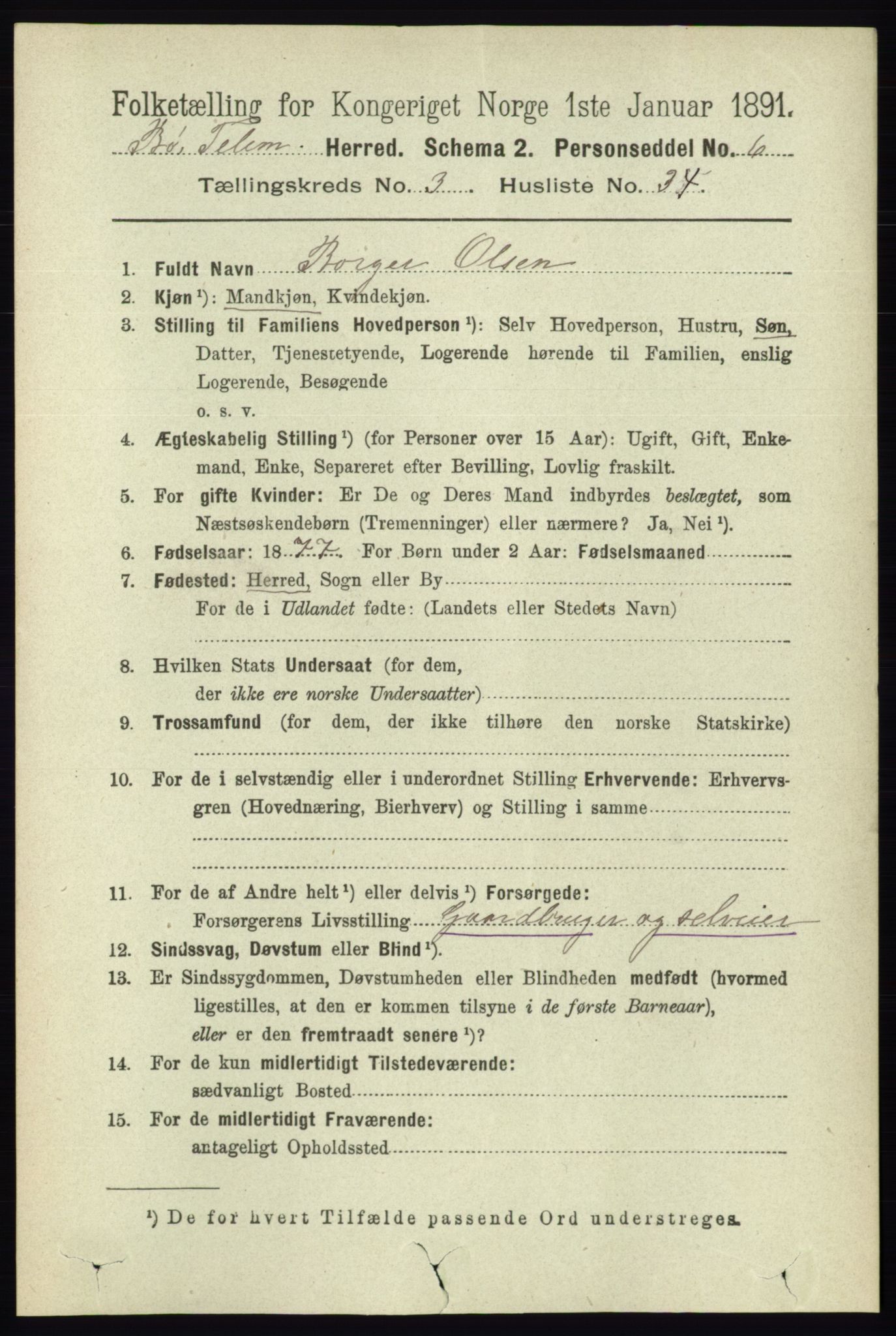 RA, 1891 census for 0821 Bø, 1891, p. 1191