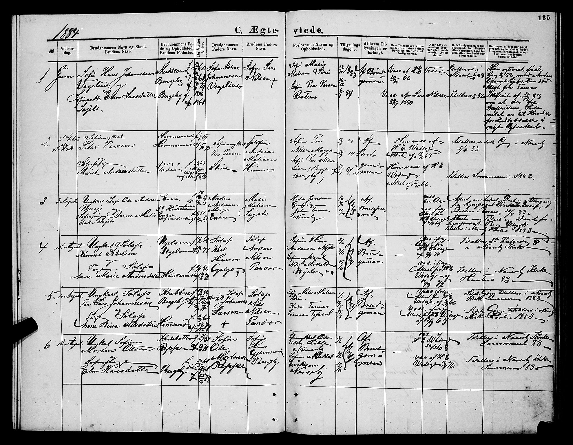Nesseby sokneprestkontor, SATØ/S-1330/H/Hb/L0004klokker: Parish register (copy) no. 4, 1877-1884, p. 135