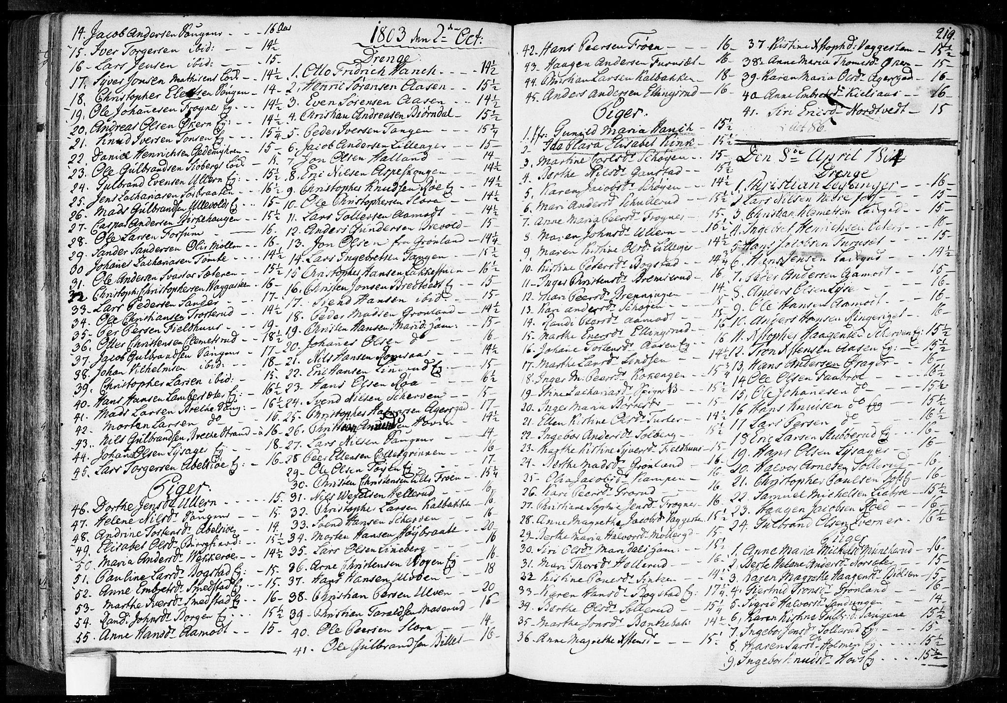 Aker prestekontor kirkebøker, SAO/A-10861/F/L0010: Parish register (official) no. 10, 1786-1809, p. 219
