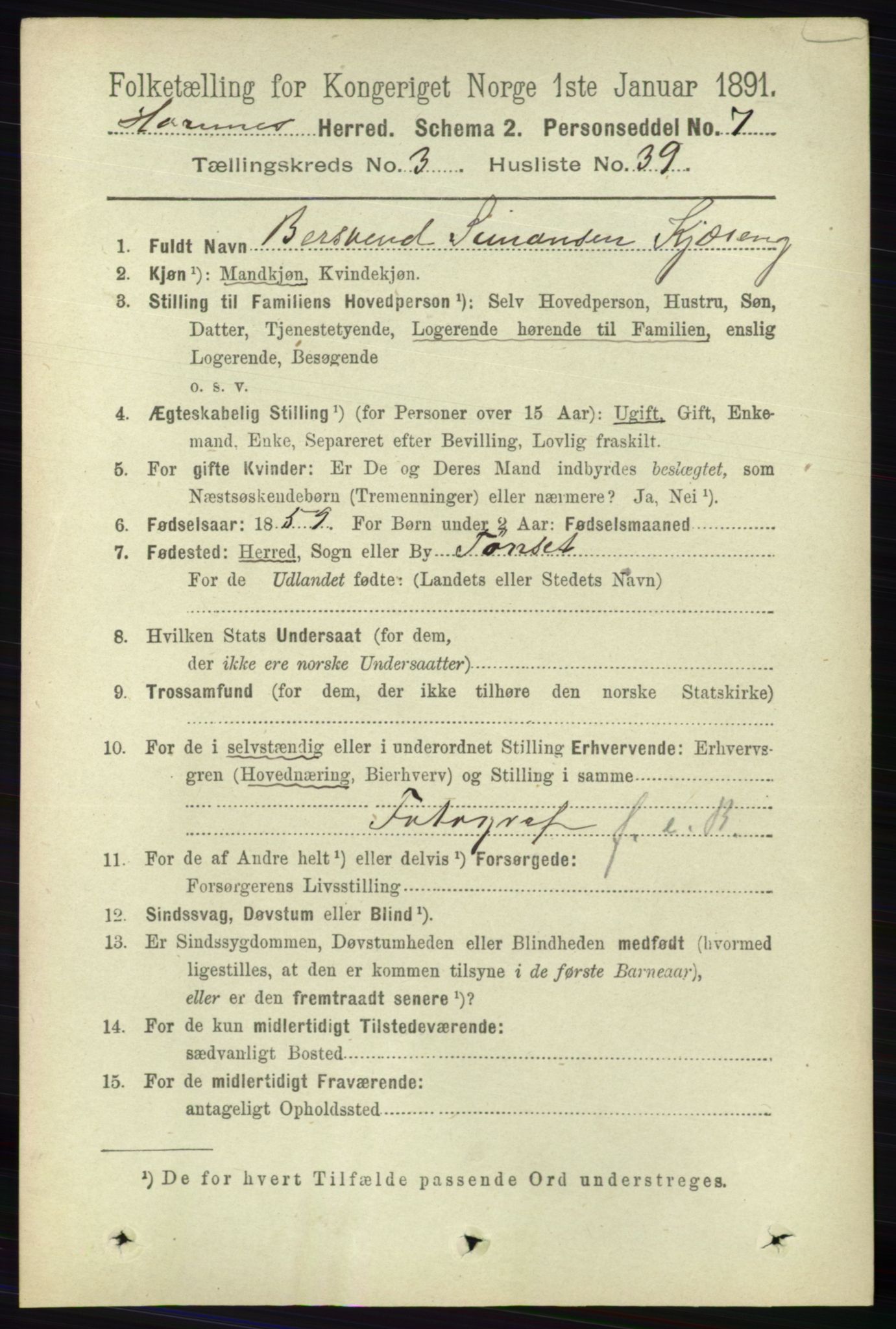 RA, 1891 census for 0936 Hornnes, 1891, p. 800