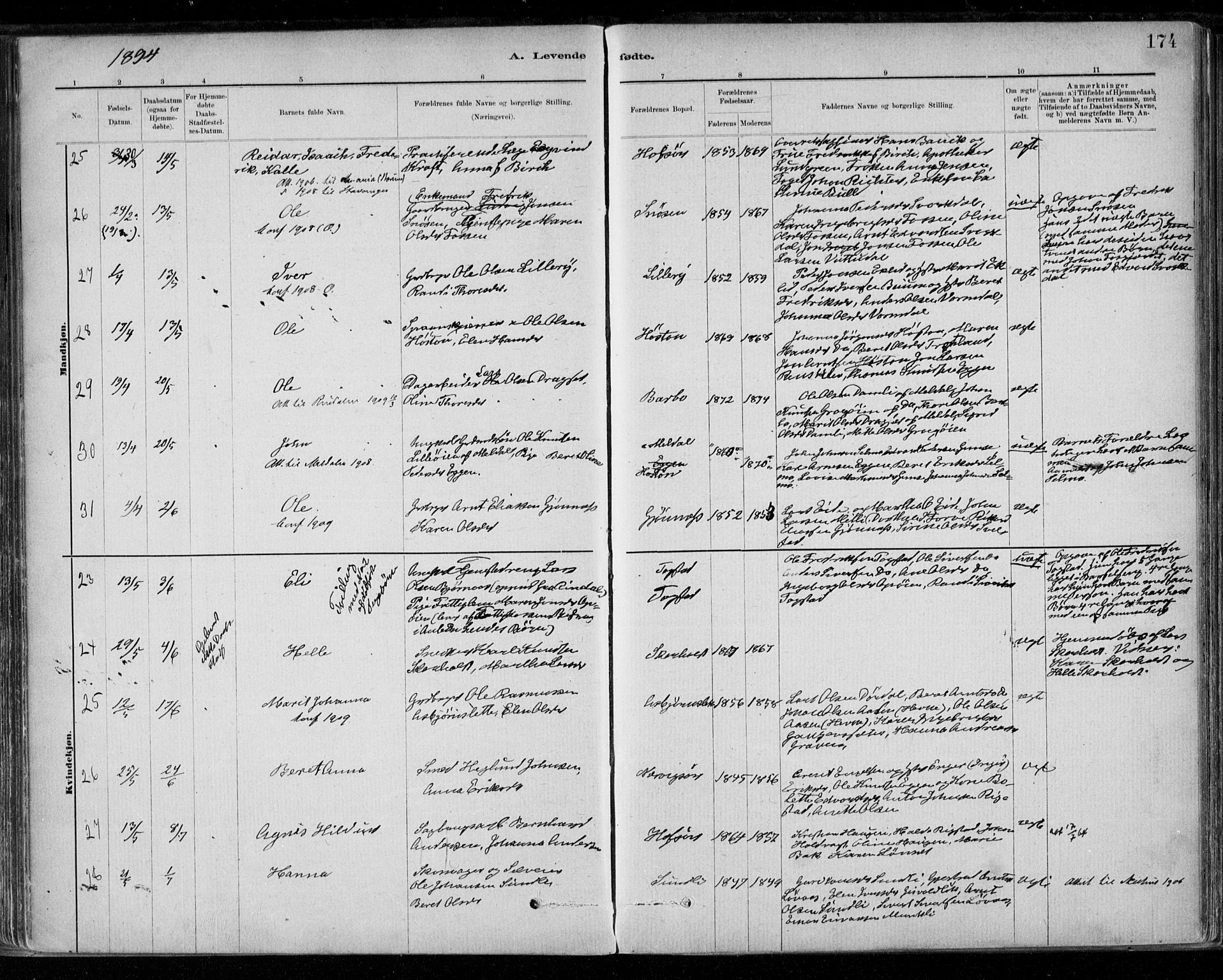 Ministerialprotokoller, klokkerbøker og fødselsregistre - Sør-Trøndelag, AV/SAT-A-1456/668/L0809: Parish register (official) no. 668A09, 1881-1895, p. 174