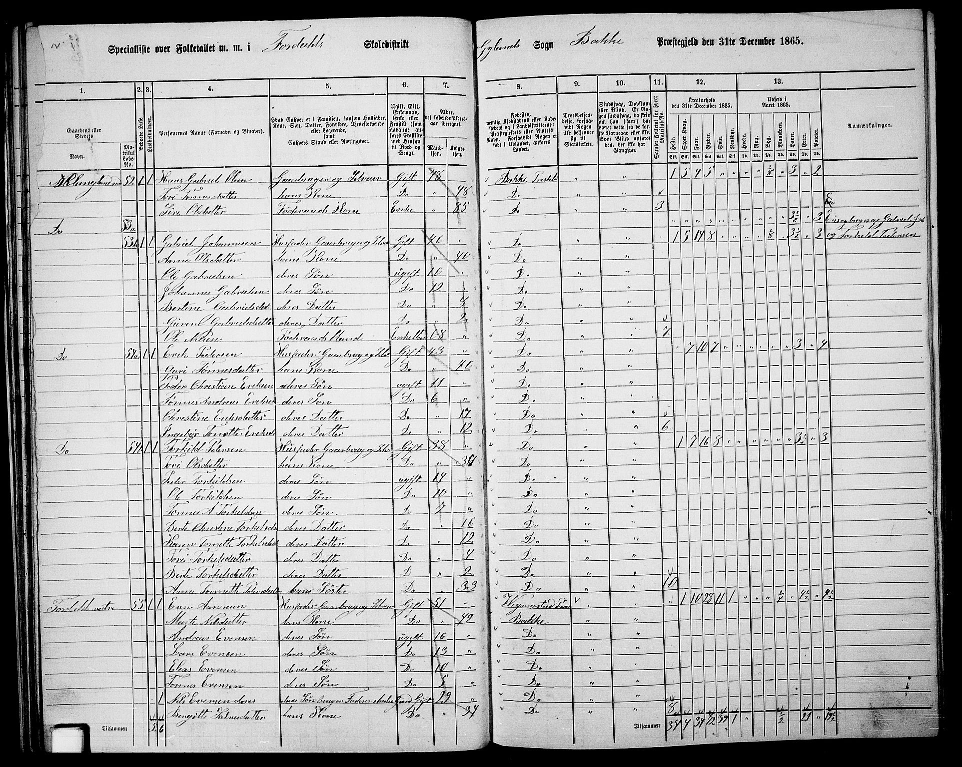 RA, 1865 census for Bakke, 1865, p. 31