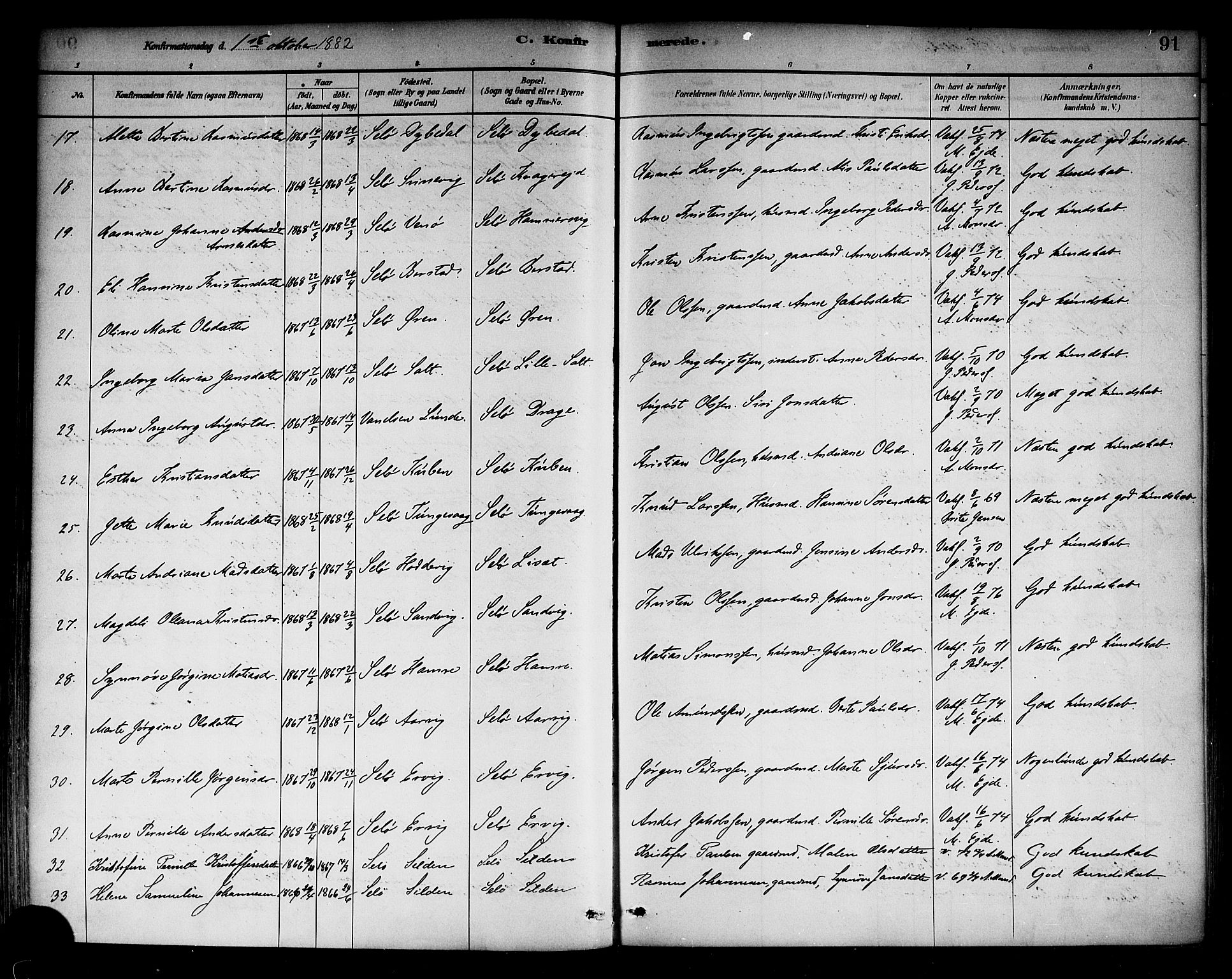 Selje sokneprestembete, AV/SAB-A-99938/H/Ha/Haa/Haab: Parish register (official) no. B 1, 1881-1890, p. 91