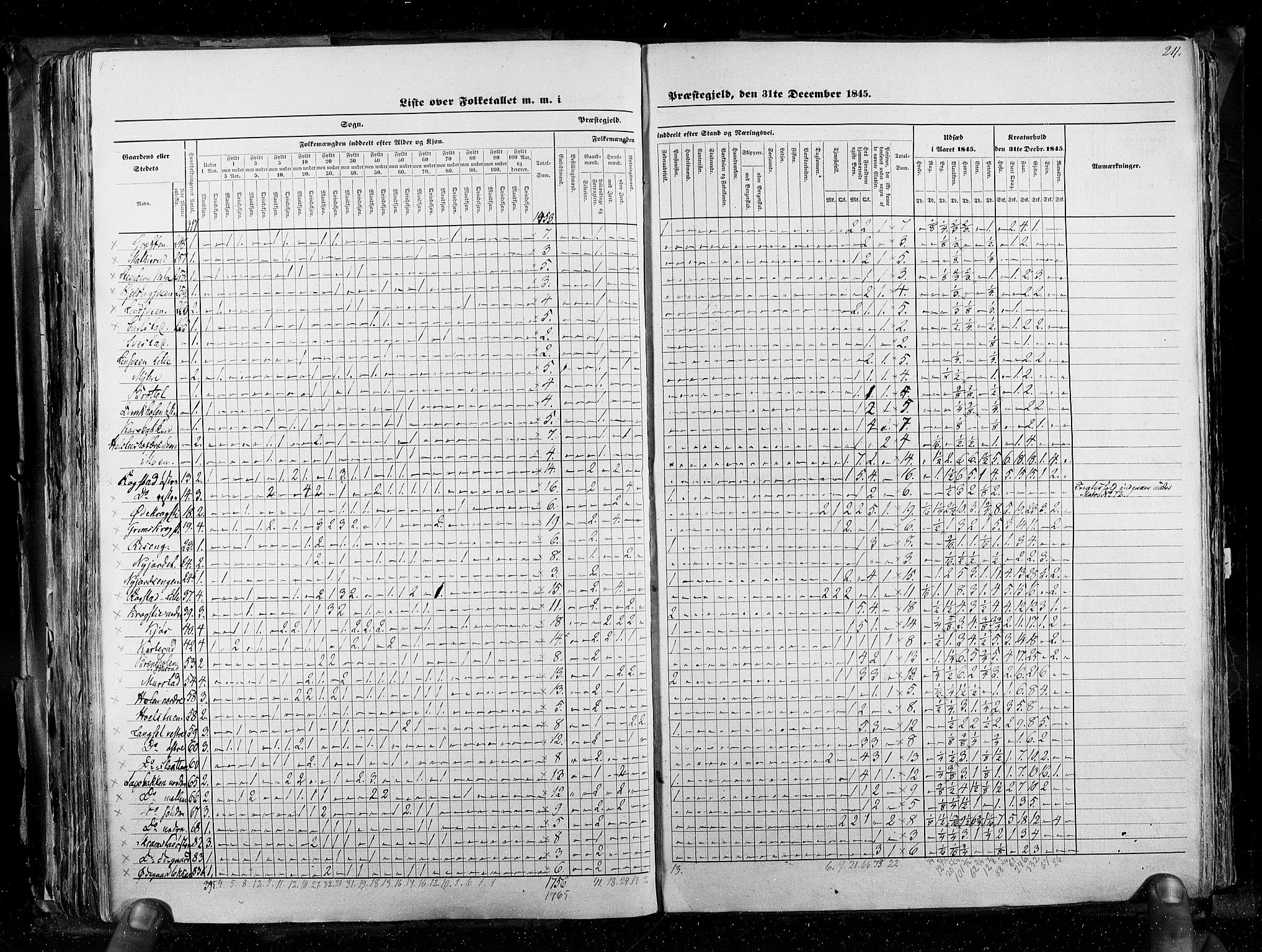 RA, Census 1845, vol. 3: Hedemarken amt og Kristians amt, 1845, p. 211