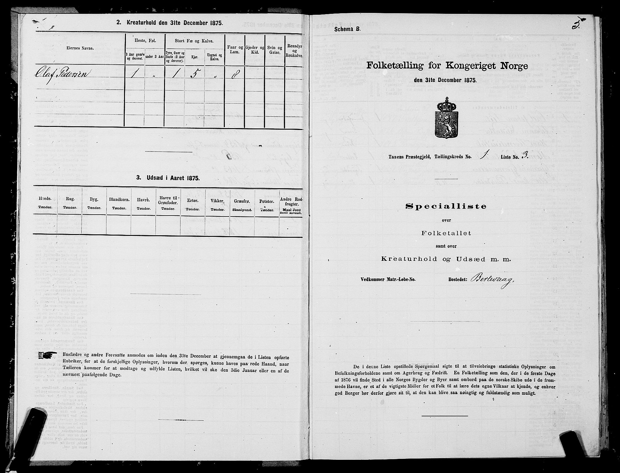 SATØ, 1875 census for 2025P Tana, 1875, p. 1005