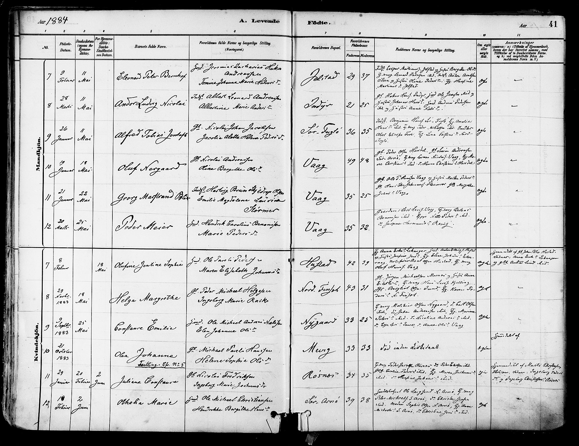 Ministerialprotokoller, klokkerbøker og fødselsregistre - Nordland, SAT/A-1459/805/L0099: Parish register (official) no. 805A06, 1880-1891, p. 41