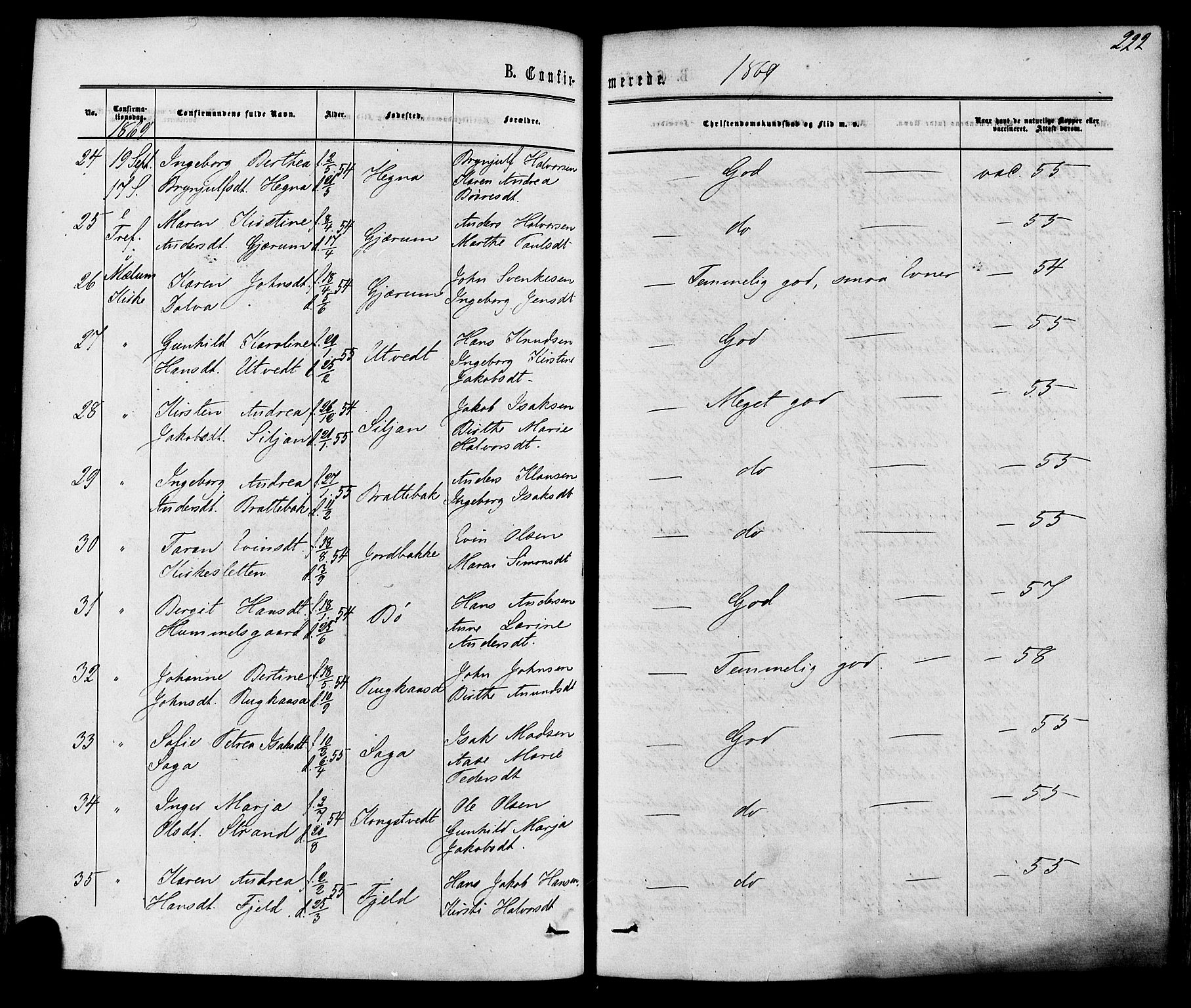 Solum kirkebøker, SAKO/A-306/F/Fa/L0008: Parish register (official) no. I 8, 1865-1876, p. 222