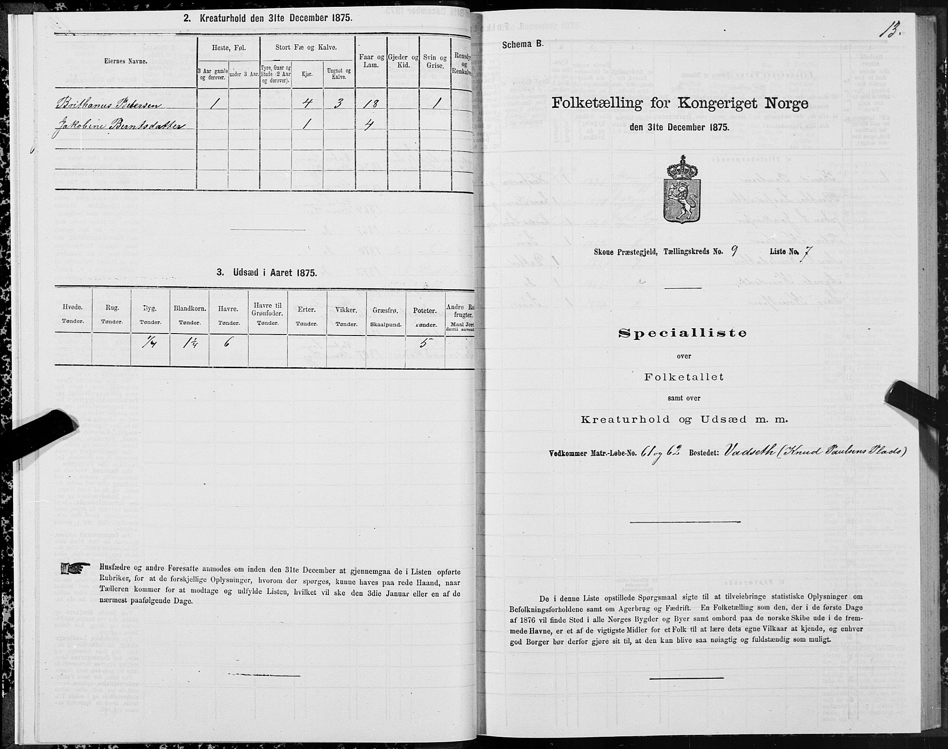 SAT, 1875 census for 1529P Skodje, 1875, p. 3013