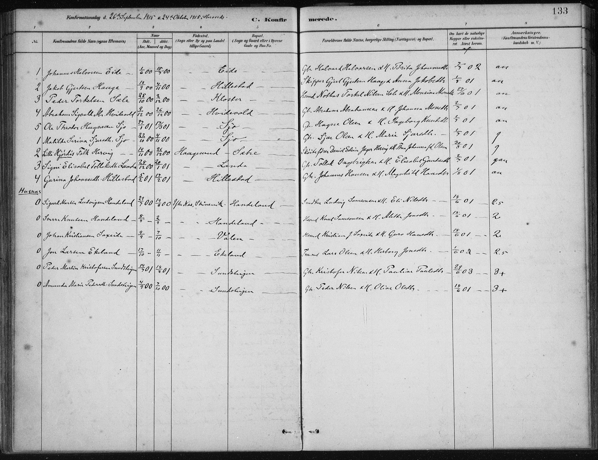 Fjelberg sokneprestembete, SAB/A-75201/H/Haa: Parish register (official) no. C  1, 1879-1918, p. 133