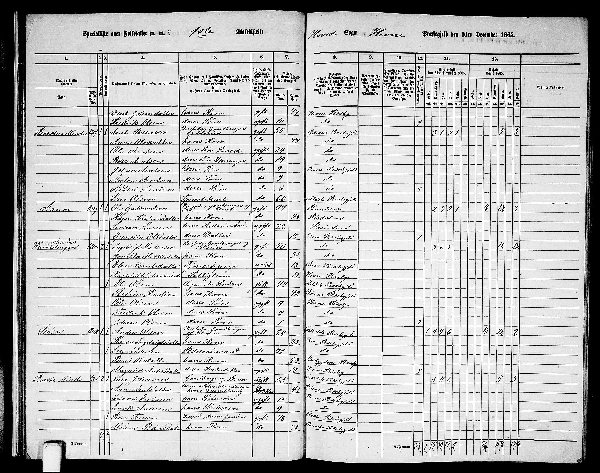 RA, 1865 census for Hemne, 1865, p. 29