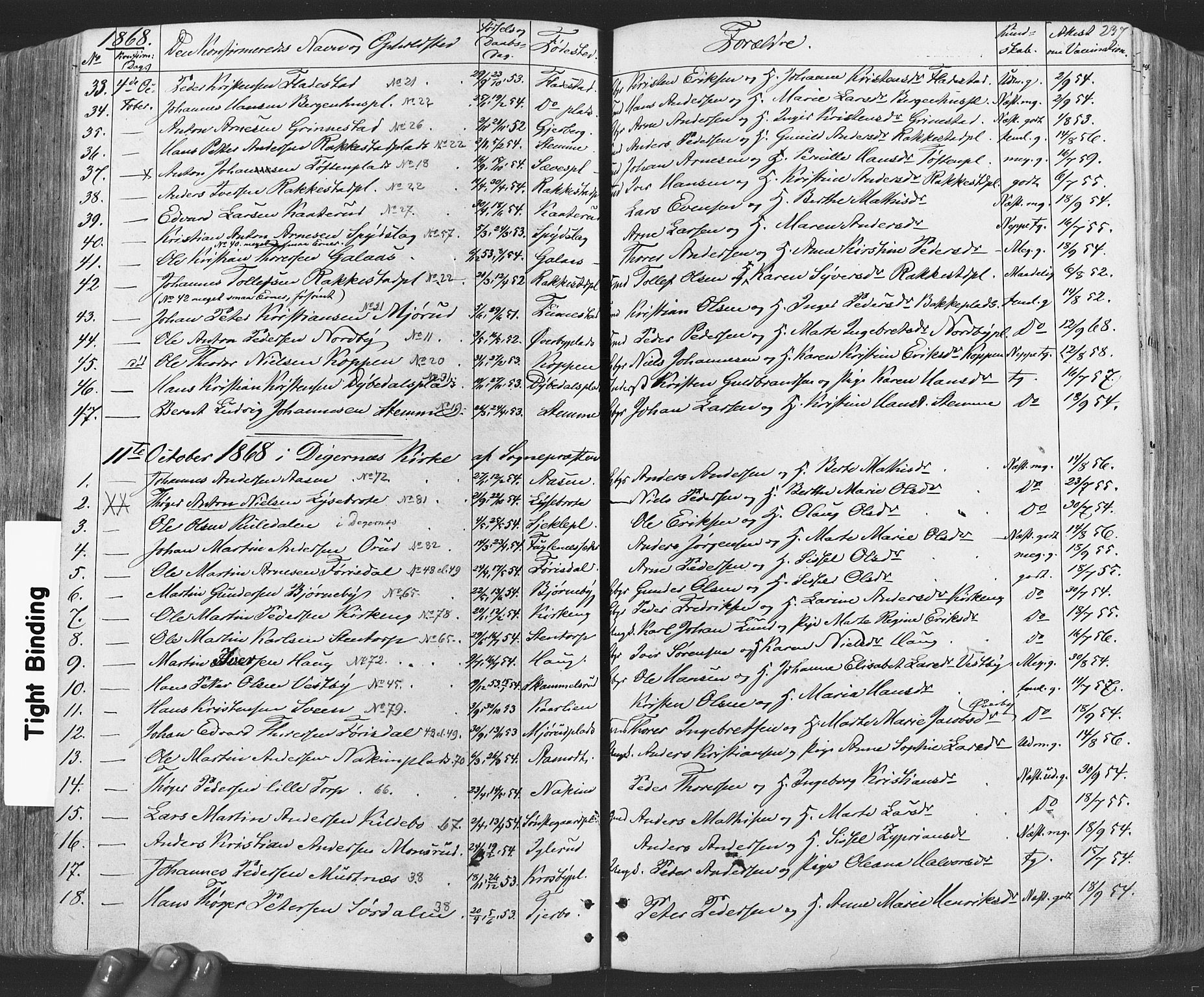 Rakkestad prestekontor Kirkebøker, SAO/A-2008/F/Fa/L0011: Parish register (official) no. I 11, 1862-1877, p. 237