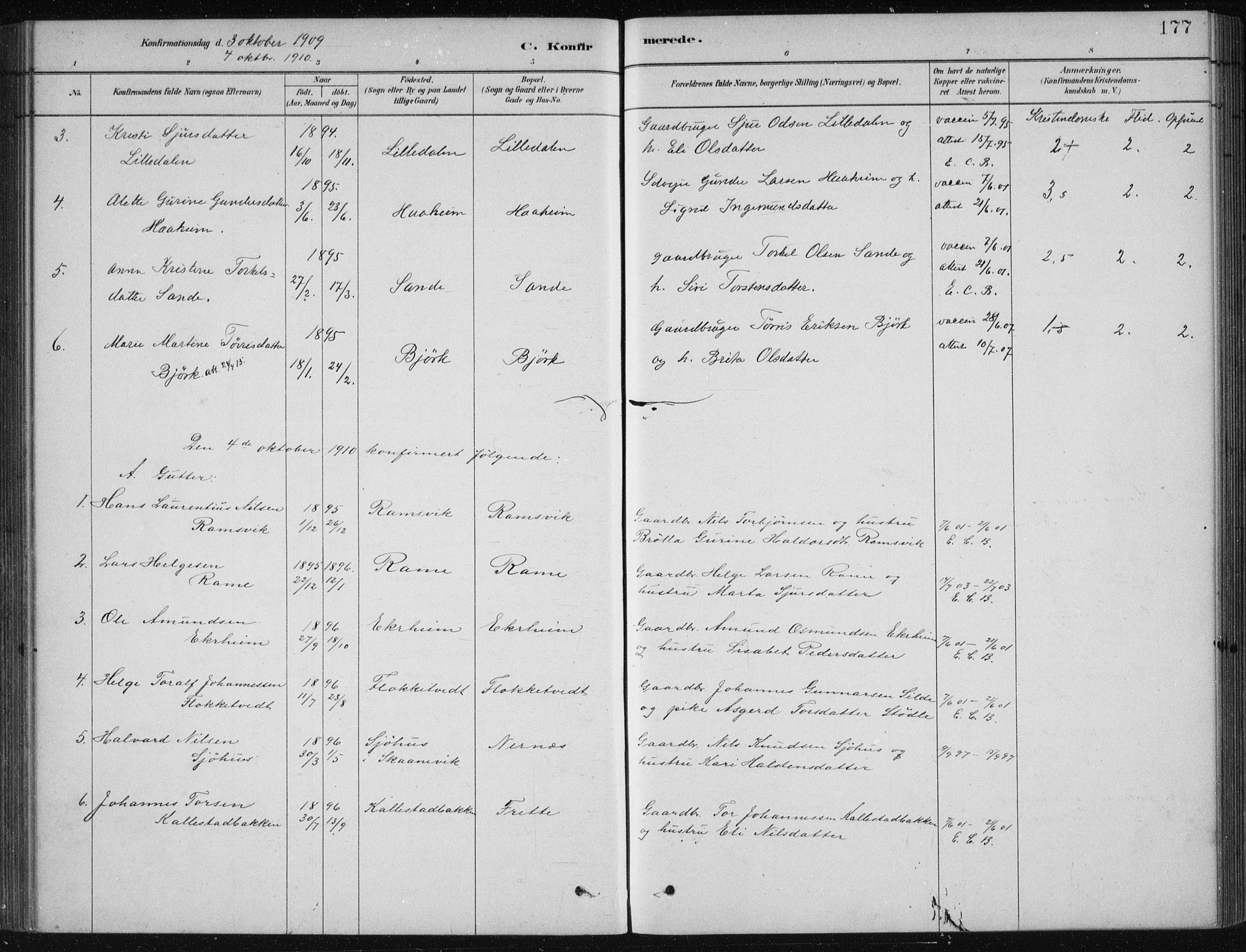 Etne sokneprestembete, SAB/A-75001/H/Haa: Parish register (official) no. D  1, 1879-1919, p. 177