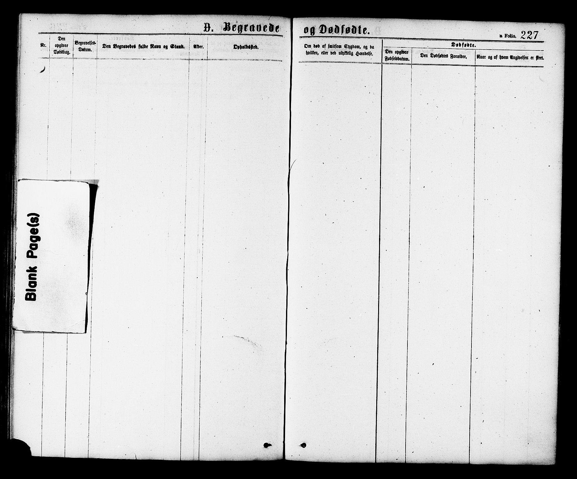 Ministerialprotokoller, klokkerbøker og fødselsregistre - Nord-Trøndelag, AV/SAT-A-1458/758/L0516: Parish register (official) no. 758A03 /2, 1869-1879, p. 227