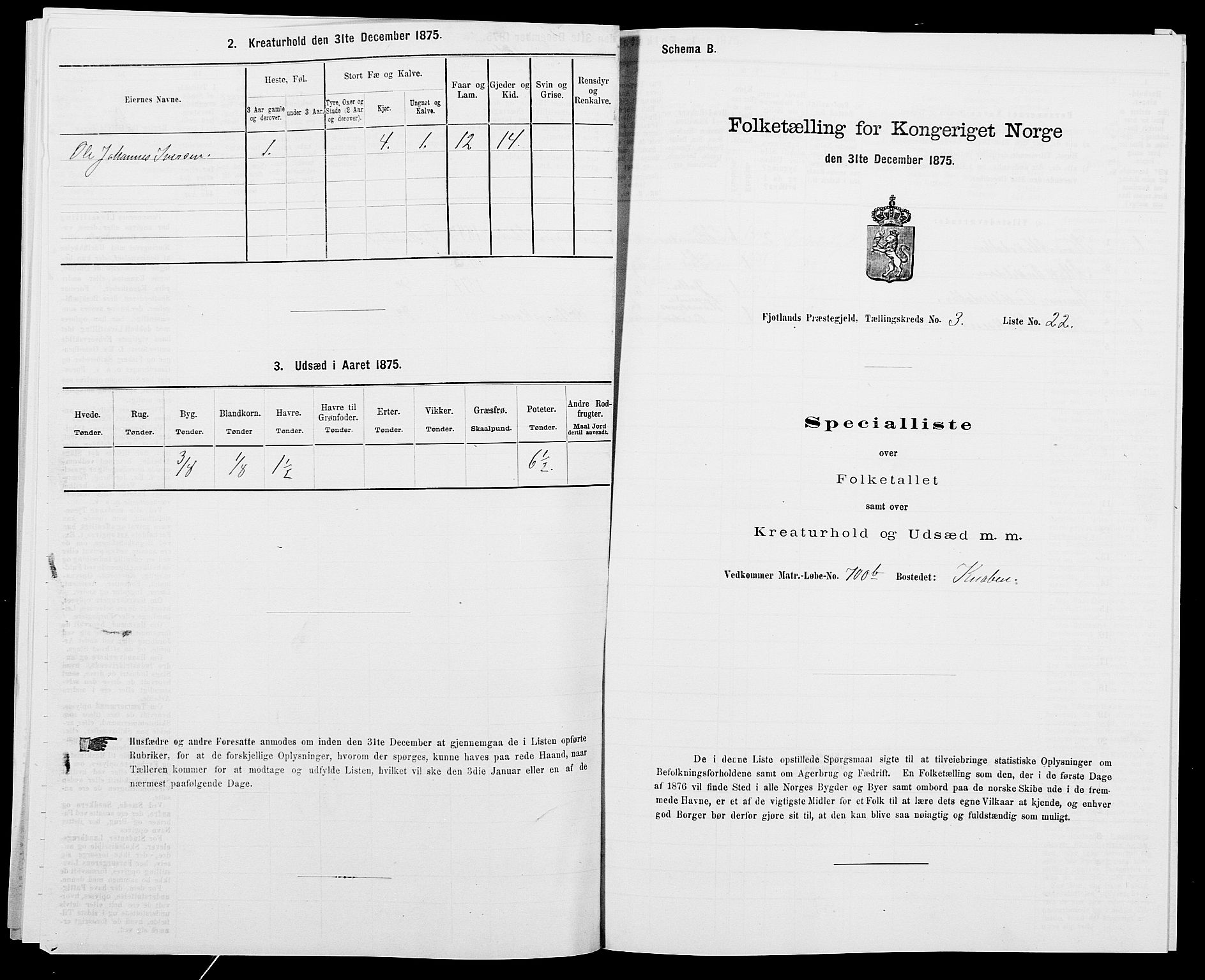 SAK, 1875 census for 1036P Fjotland, 1875, p. 203