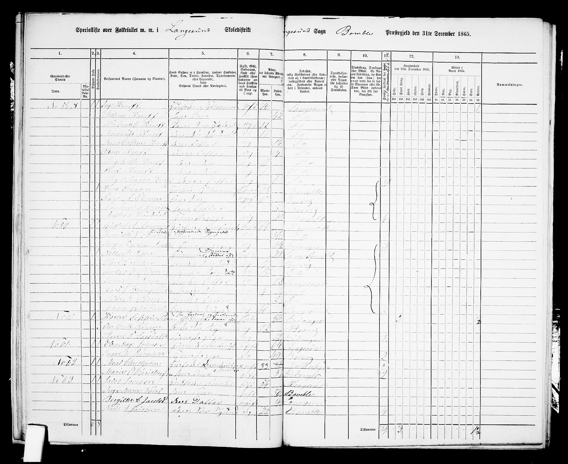 RA, 1865 census for Bamble, 1865, p. 202