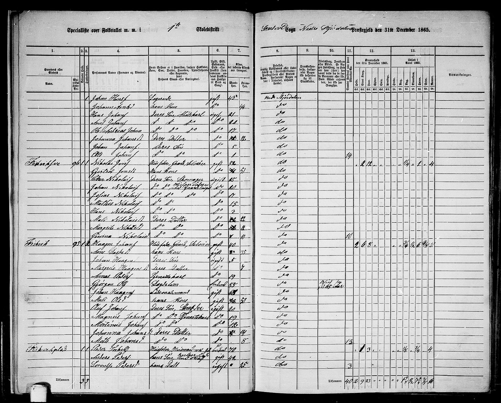 RA, 1865 census for Nedre Stjørdal, 1865, p. 16