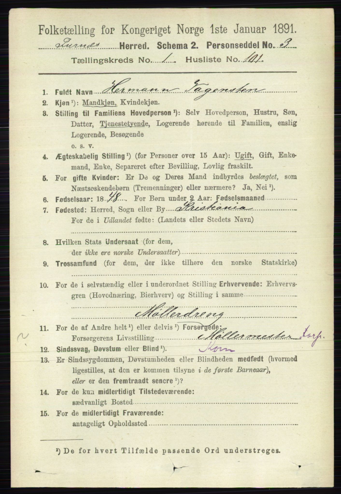 RA, Census 1891 for 0413 Furnes herred, 1891, p. 727