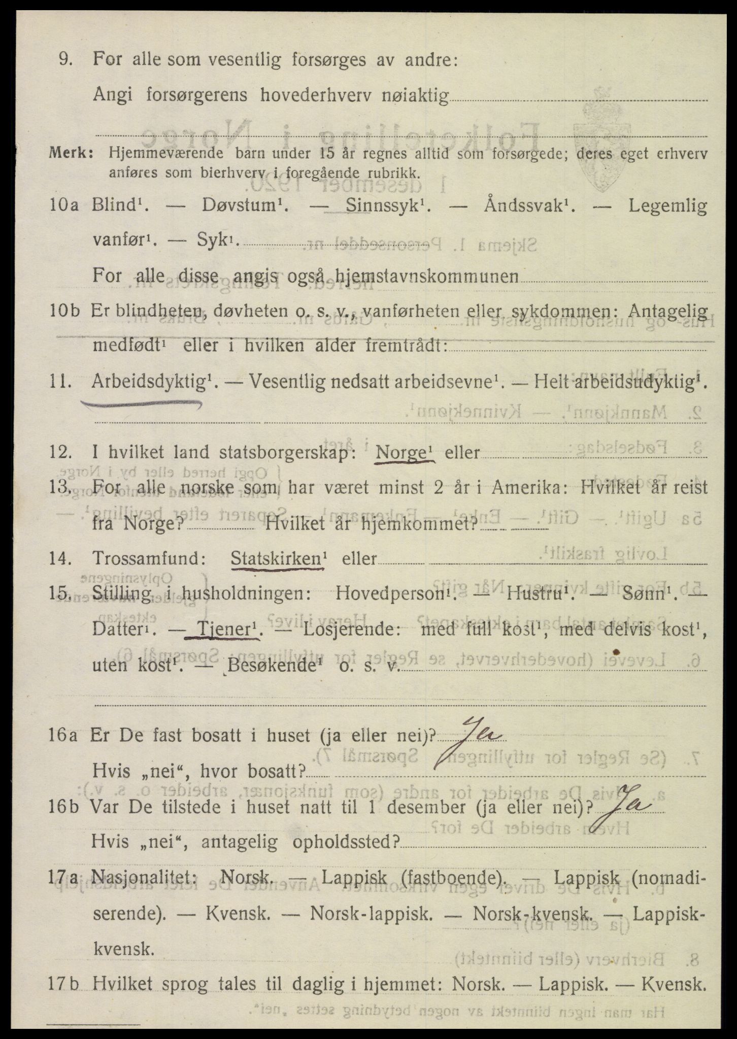 SAT, 1920 census for Hattfjelldal, 1920, p. 539