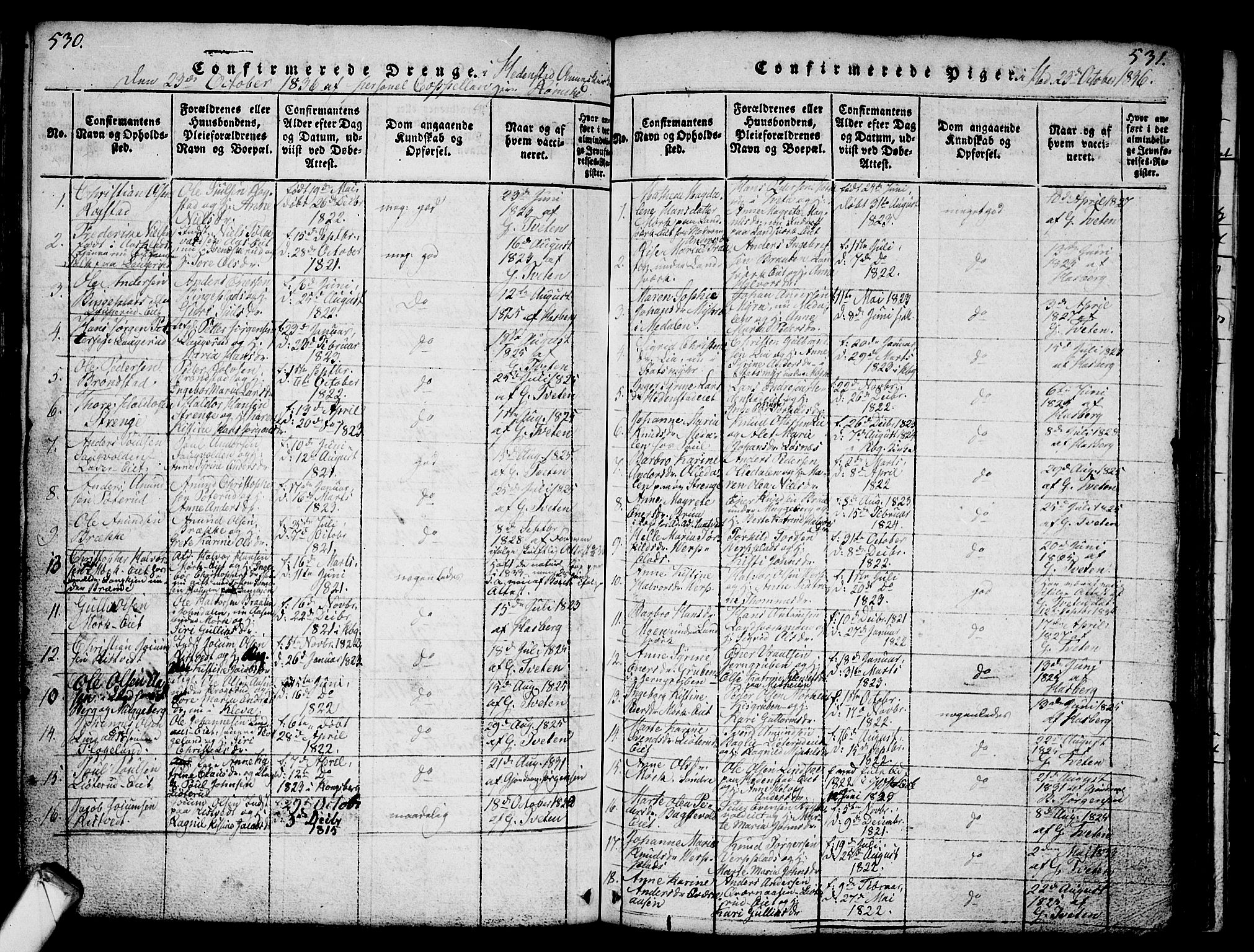 Sandsvær kirkebøker, AV/SAKO-A-244/G/Ga/L0003: Parish register (copy) no. I 3, 1817-1839, p. 530-531