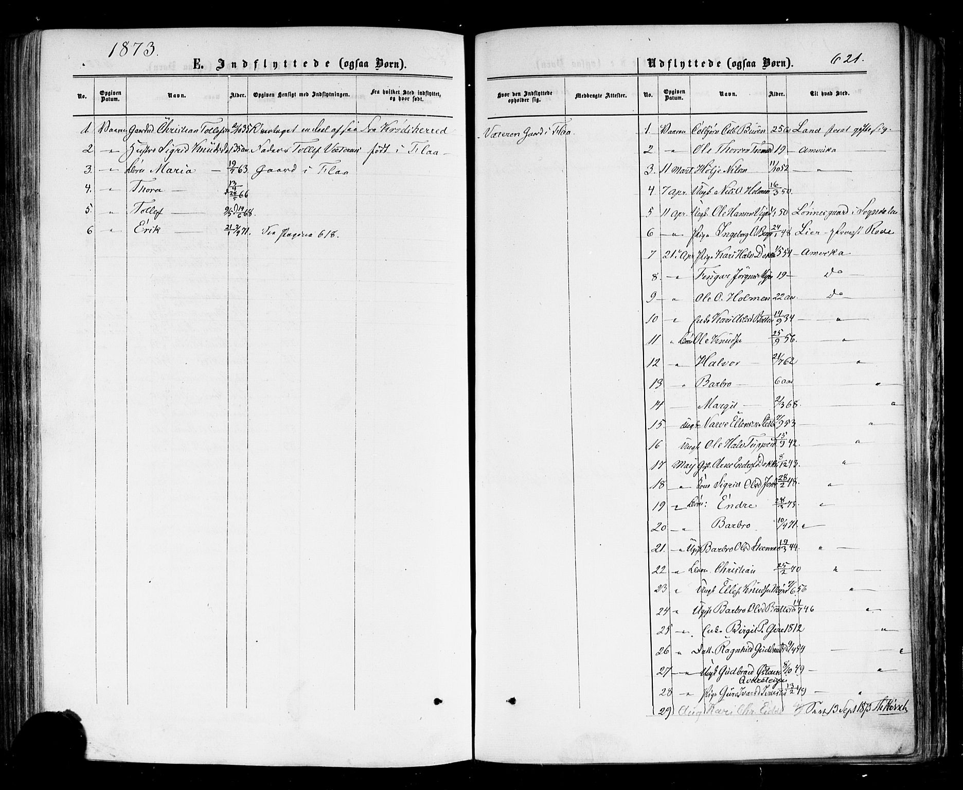 Nes kirkebøker, SAKO/A-236/F/Fa/L0010: Parish register (official) no. 10, 1864-1880, p. 621
