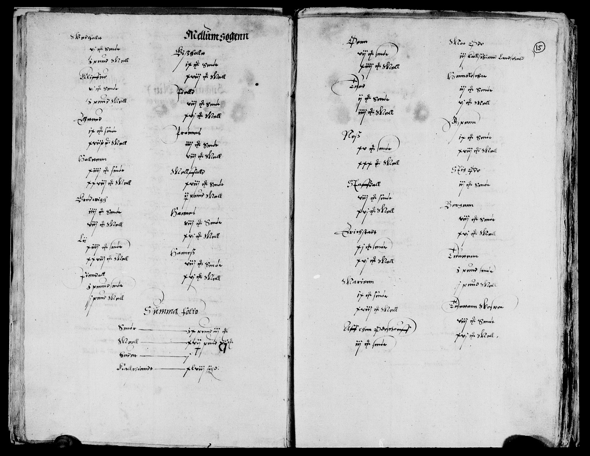 Rentekammeret inntil 1814, Reviderte regnskaper, Lensregnskaper, AV/RA-EA-5023/R/Rb/Rbp/L0001: Bratsberg len, 1585-1600