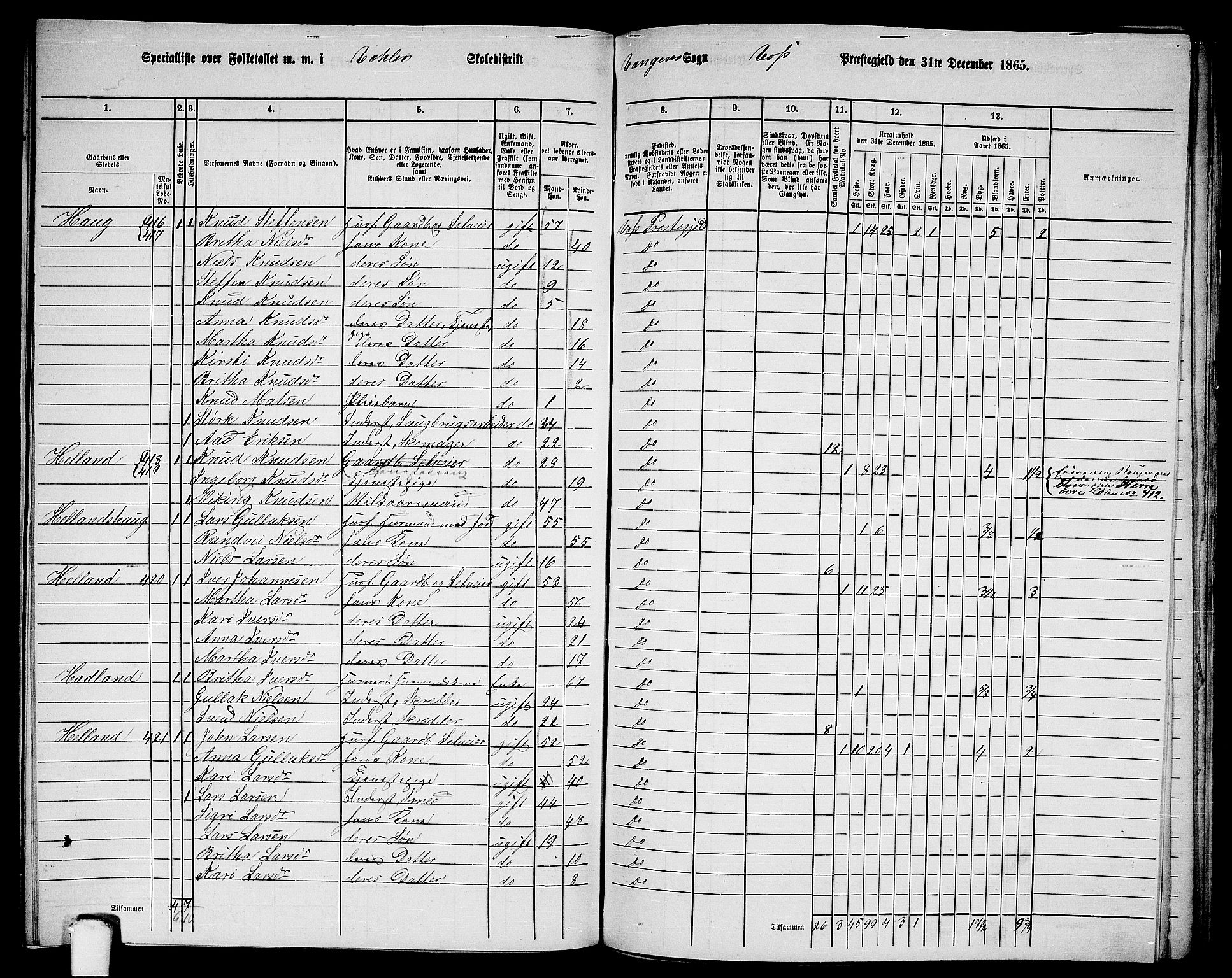 RA, 1865 census for Voss, 1865, p. 188