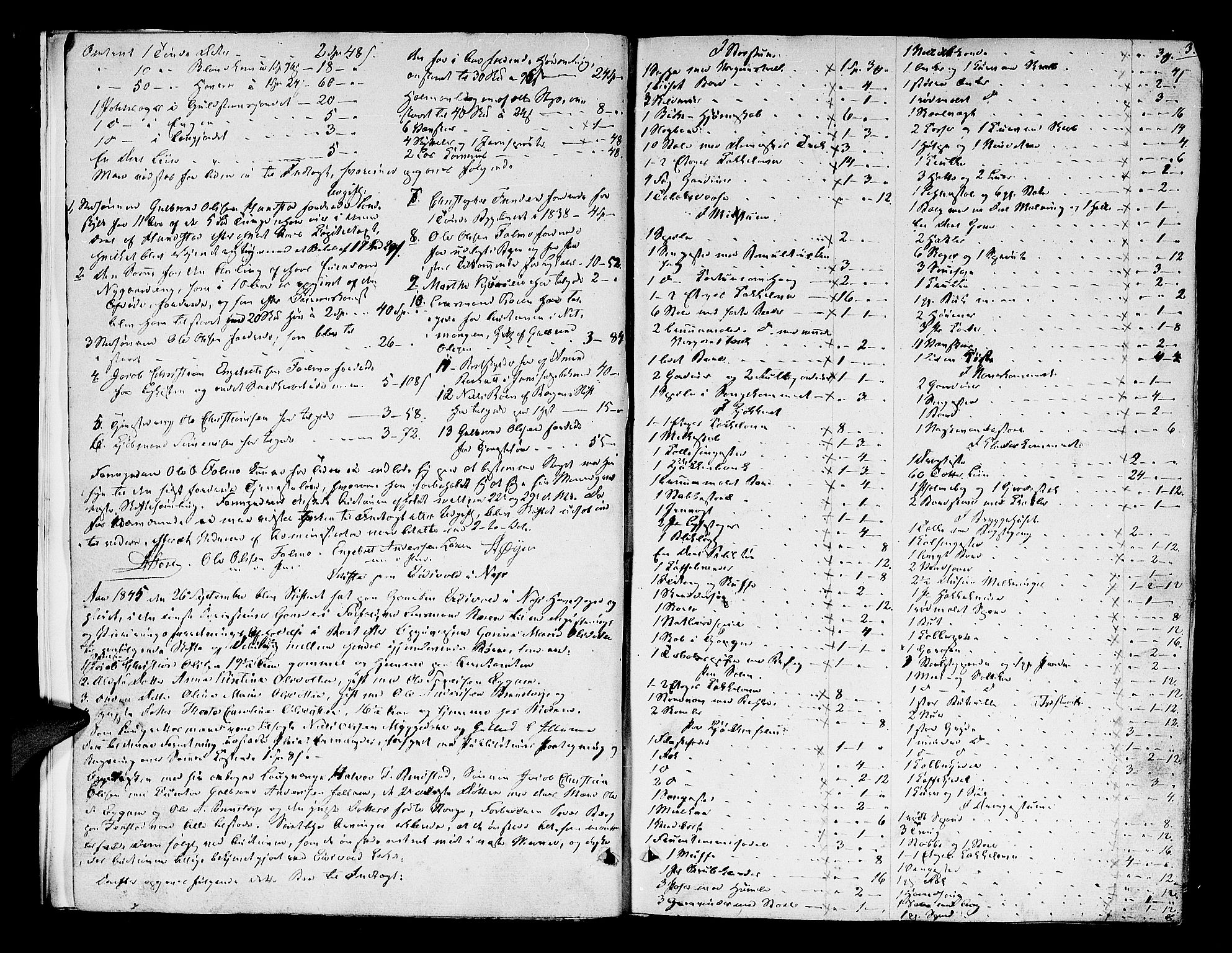 Nes tingrett, AV/SAO-A-10548/H/Hb/L0001: Registrerings- og forhandlingsprotokoll "M", 1845-1876, p. 2b-3a