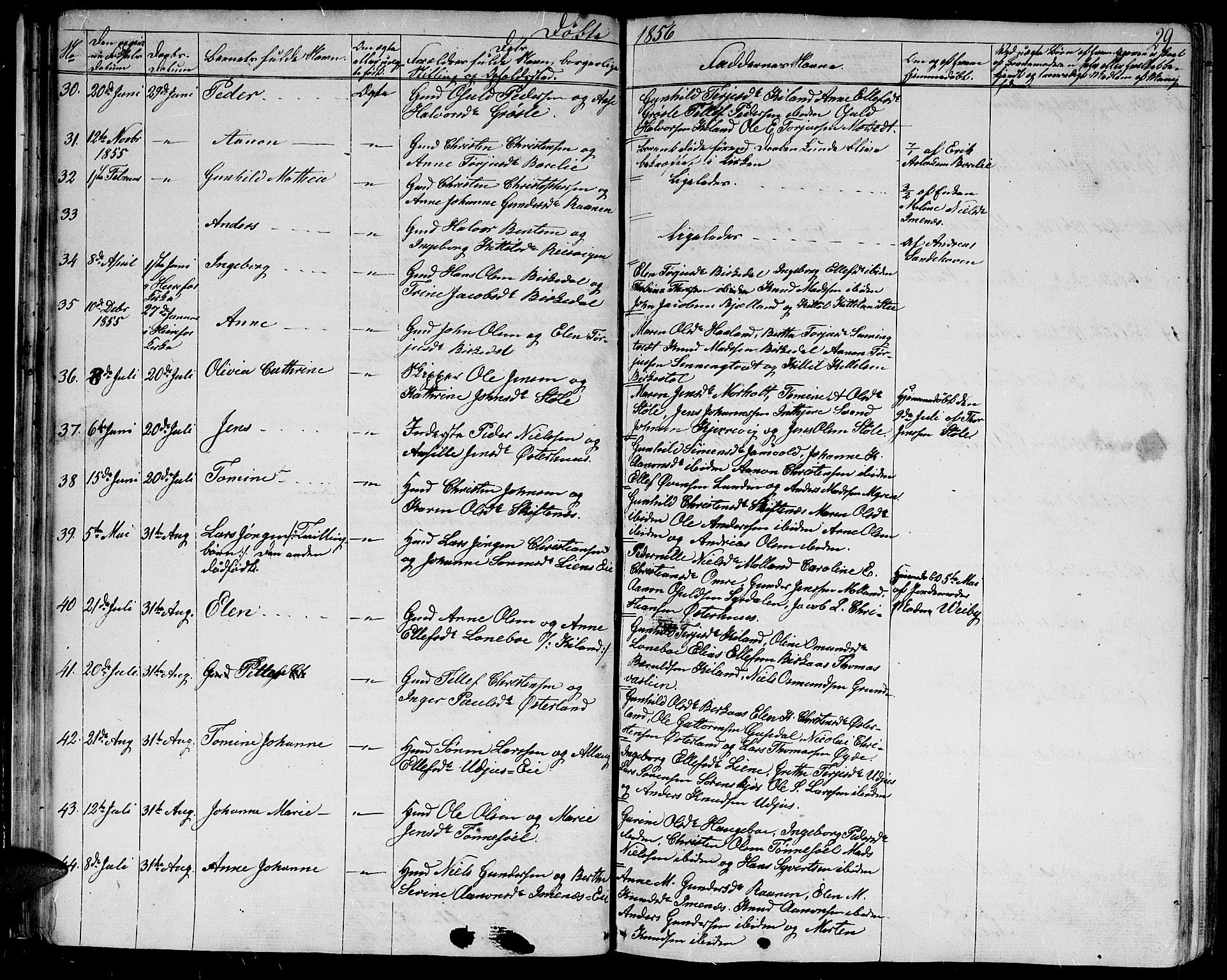 Hommedal sokneprestkontor, AV/SAK-1111-0023/F/Fb/Fbb/L0005: Parish register (copy) no. B 5, 1850-1869, p. 29