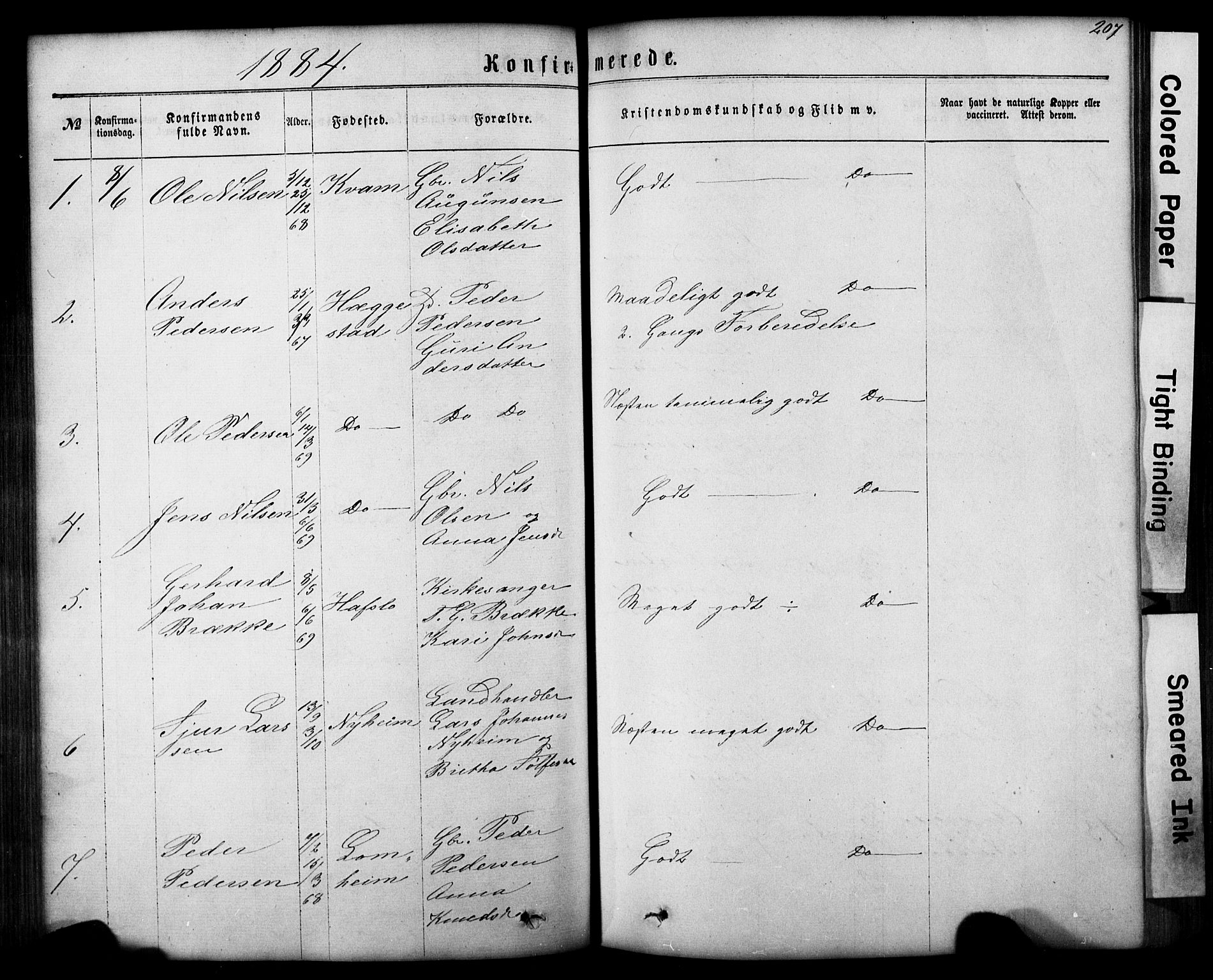 Hafslo sokneprestembete, SAB/A-80301/H/Hab/Haba/L0001: Parish register (copy) no. A 1, 1866-1908, p. 207