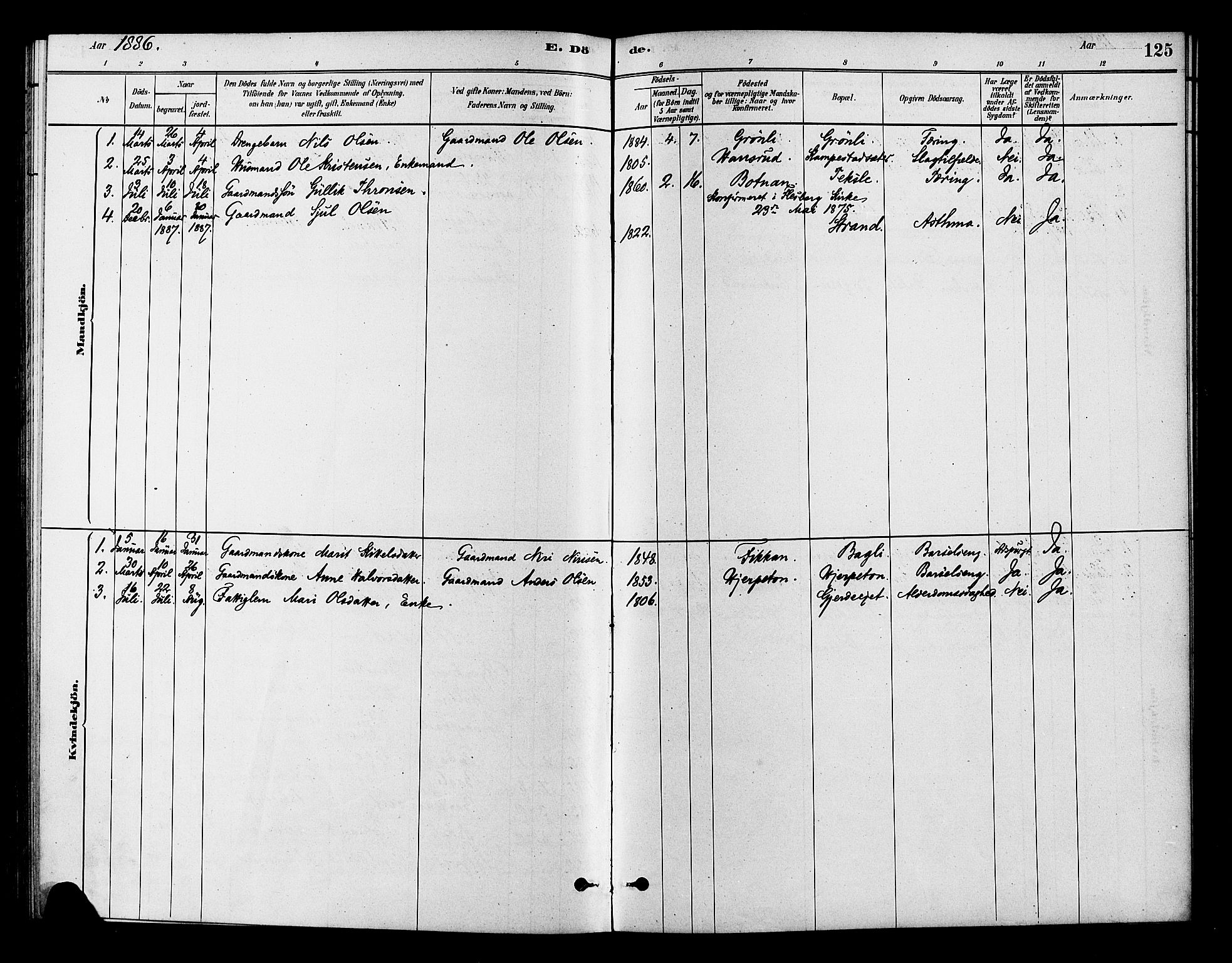 Flesberg kirkebøker, SAKO/A-18/F/Fc/L0001: Parish register (official) no. III 1, 1879-1905, p. 125