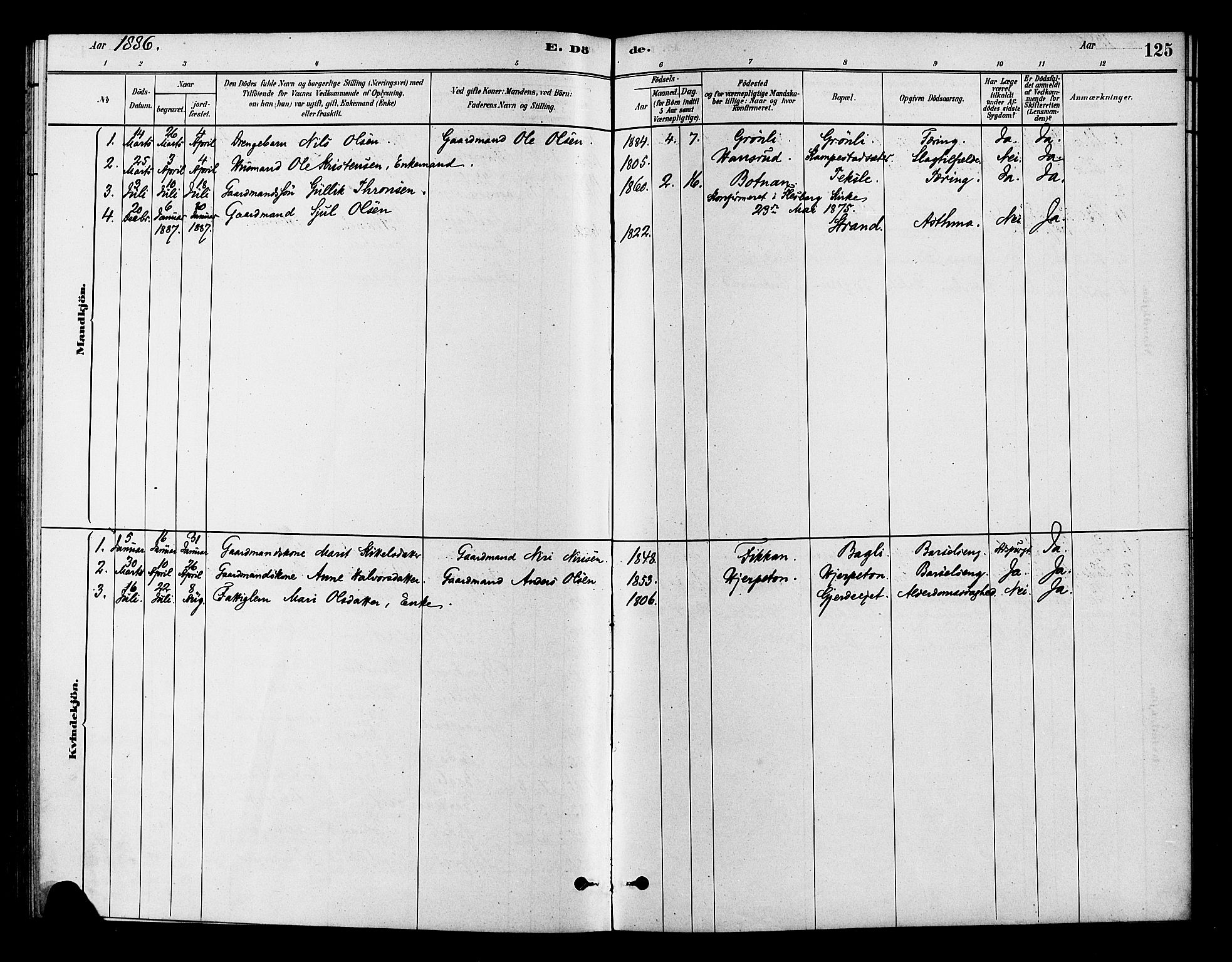 Flesberg kirkebøker, AV/SAKO-A-18/F/Fc/L0001: Parish register (official) no. III 1, 1879-1905, p. 125