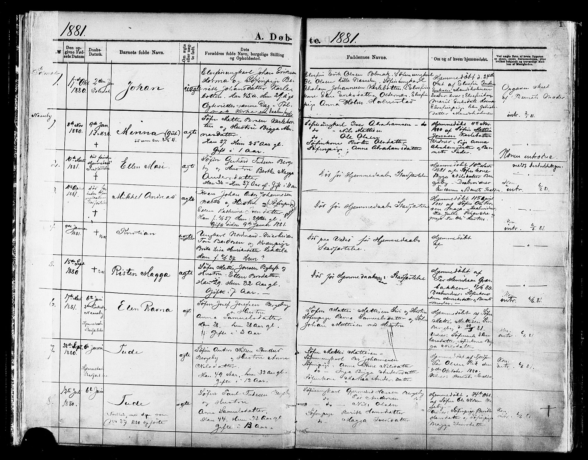 Nesseby sokneprestkontor, AV/SATØ-S-1330/H/Ha/L0004kirke: Parish register (official) no. 4, 1877-1884, p. 17