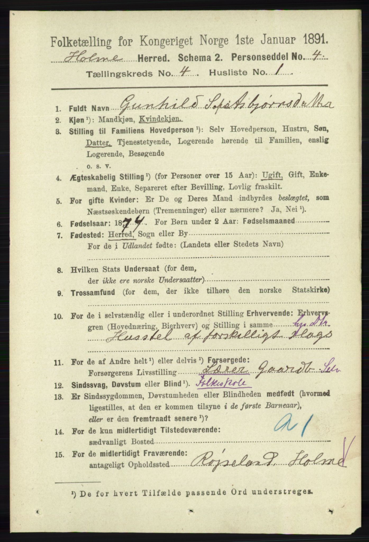 RA, 1891 census for 1020 Holum, 1891, p. 1037