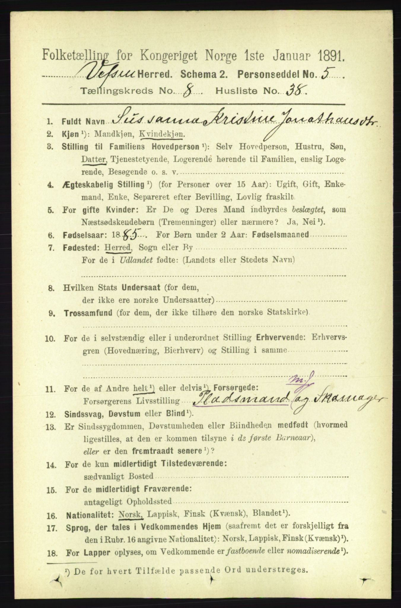 RA, 1891 census for 1824 Vefsn, 1891, p. 4522